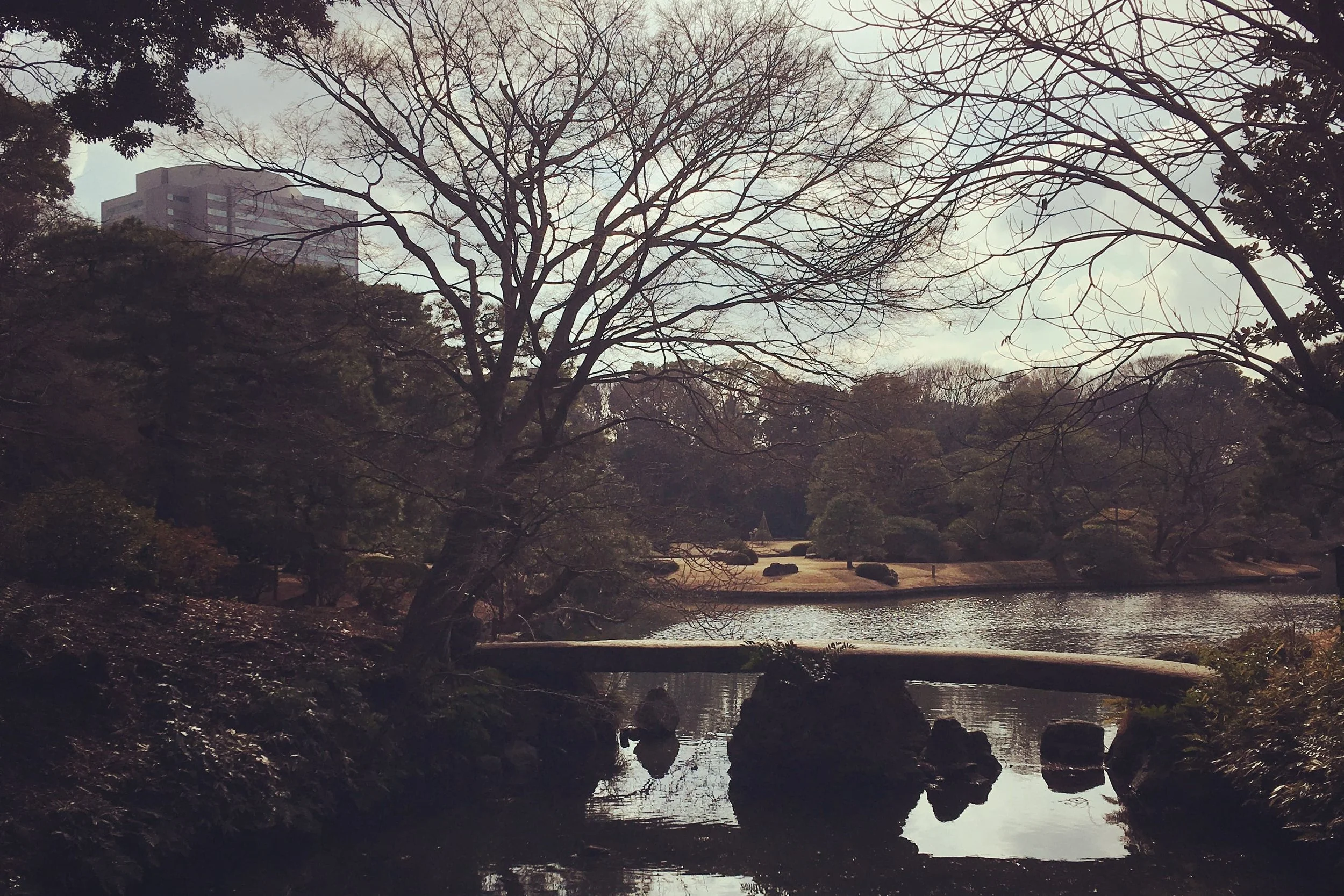 grey garden in tokyo