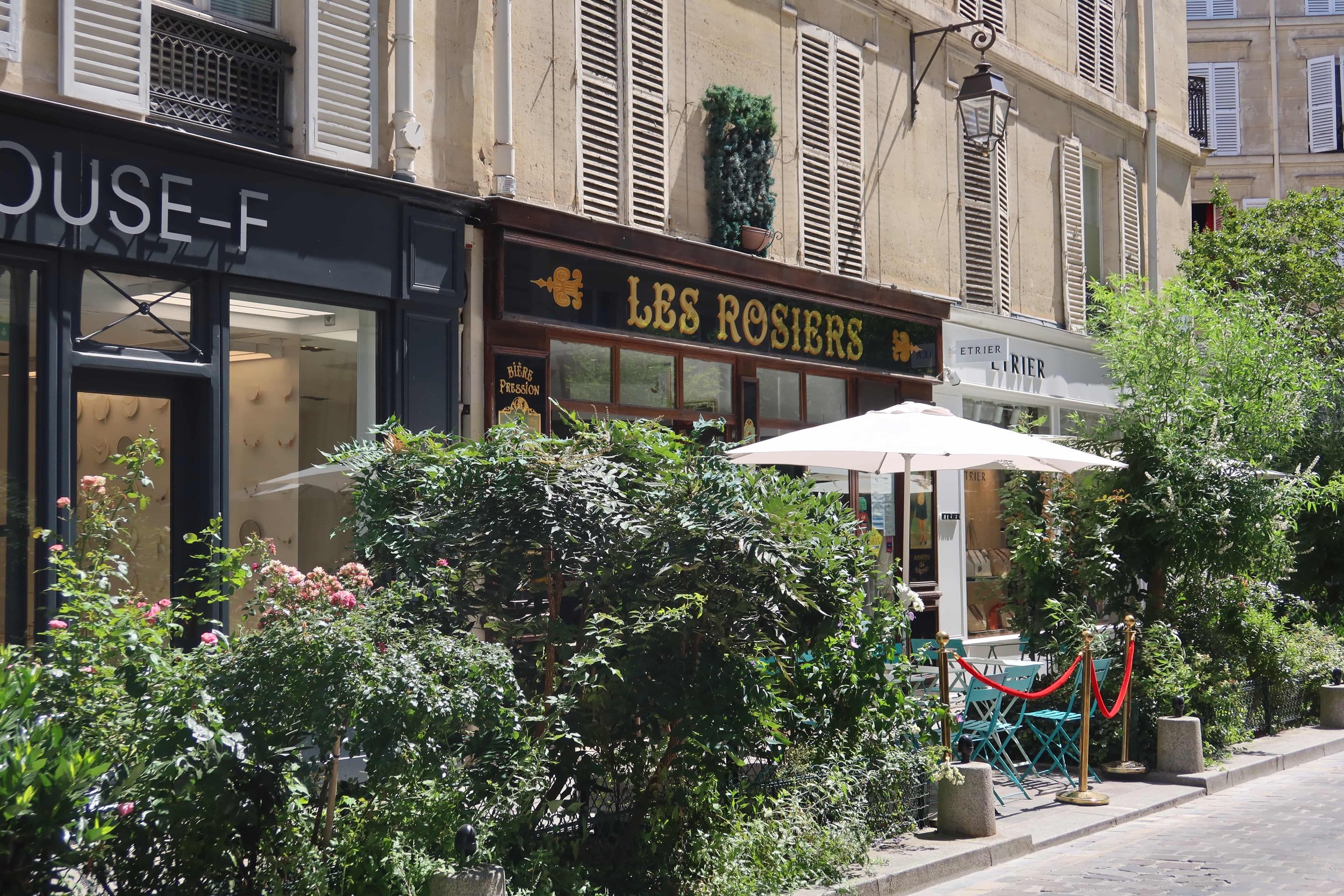 classic charming paris street