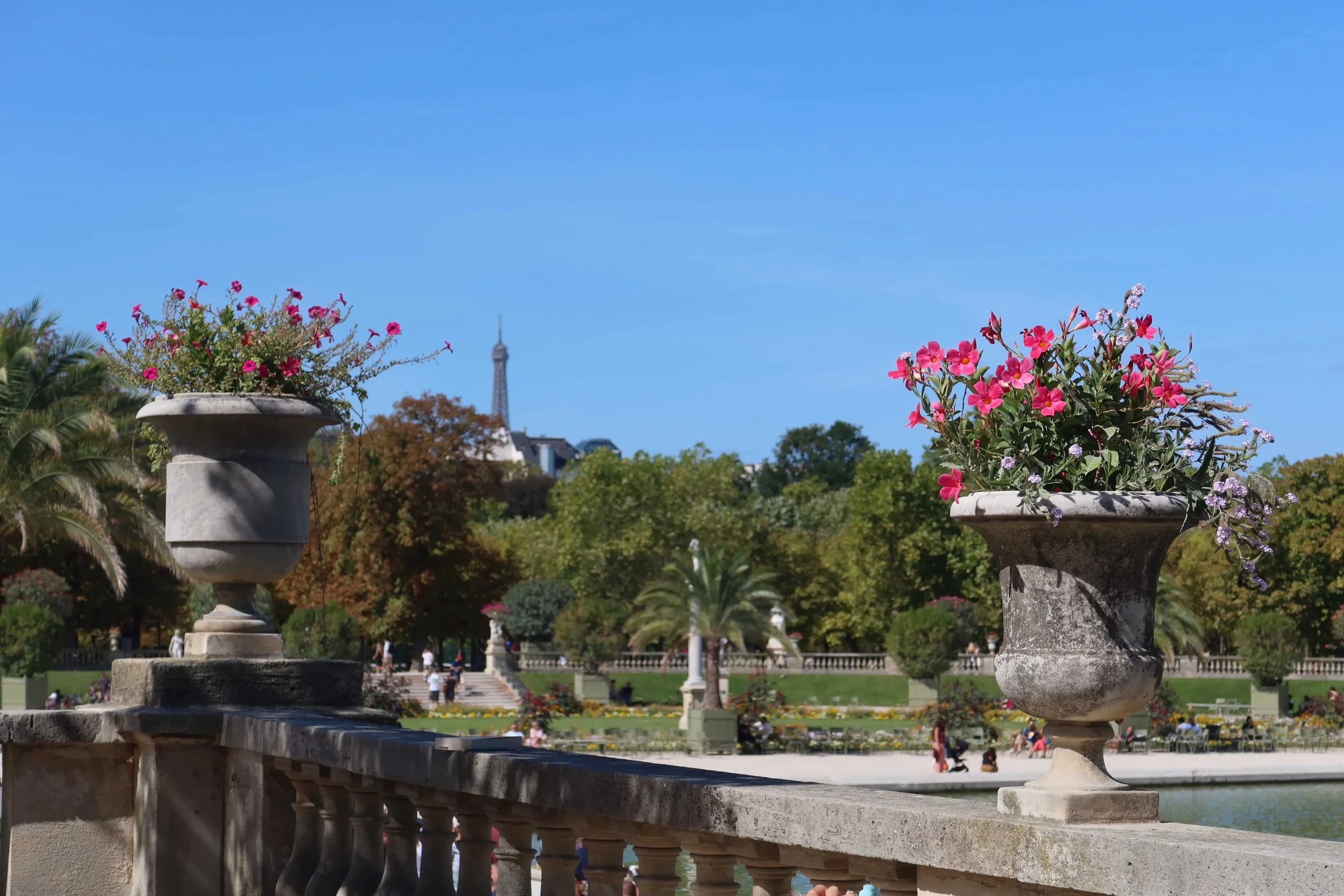 pink flowers and eiffel tower