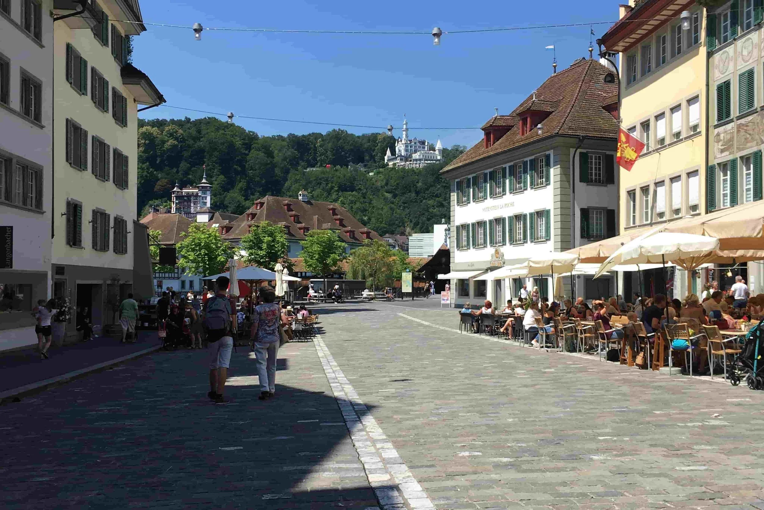 cobblestone street german style buildings with white castles on green forest mountains