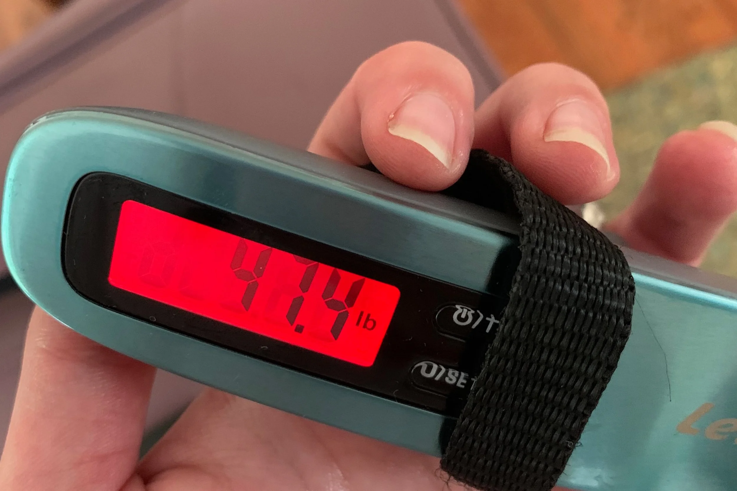 luggage scale