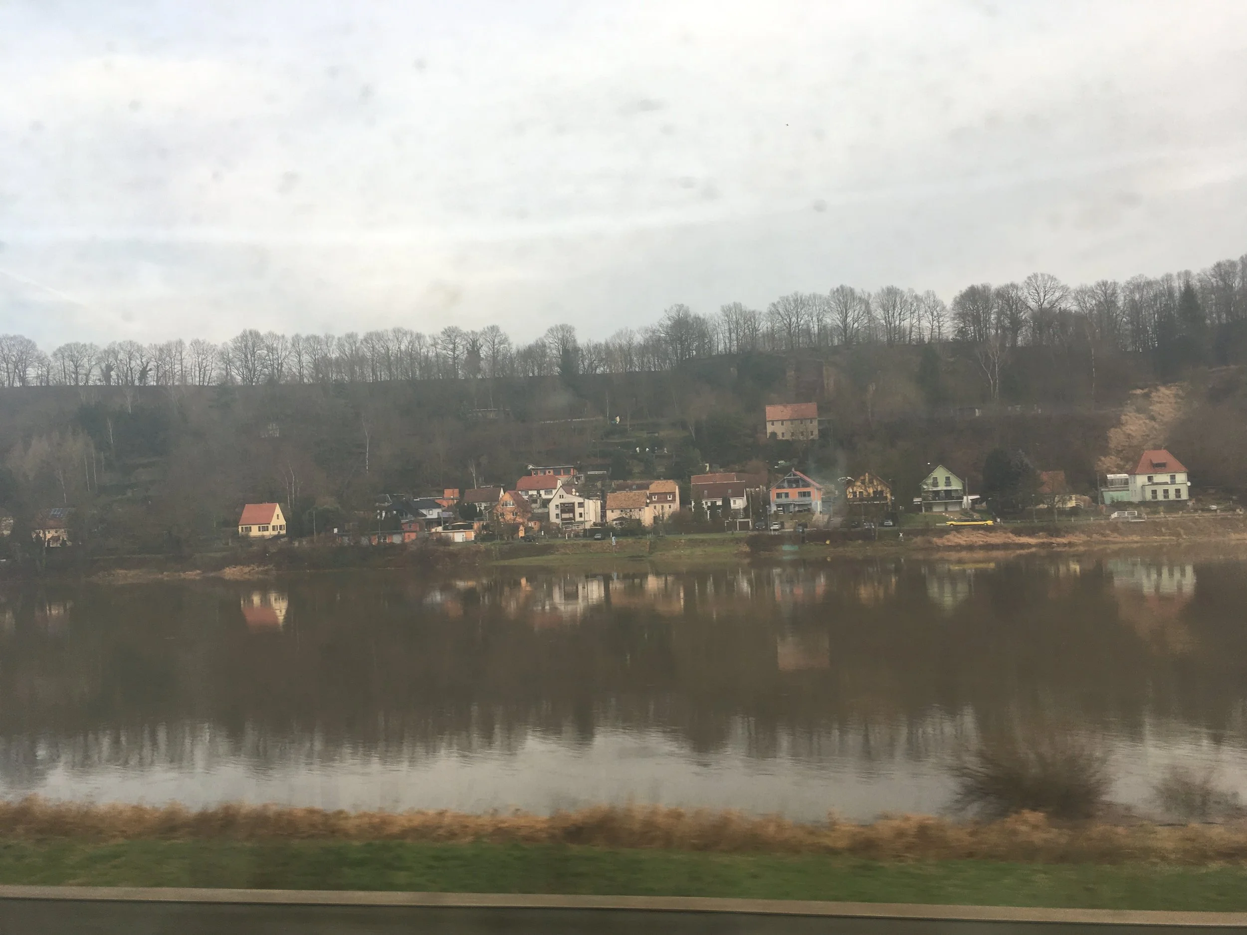 forest and grey river cloudy