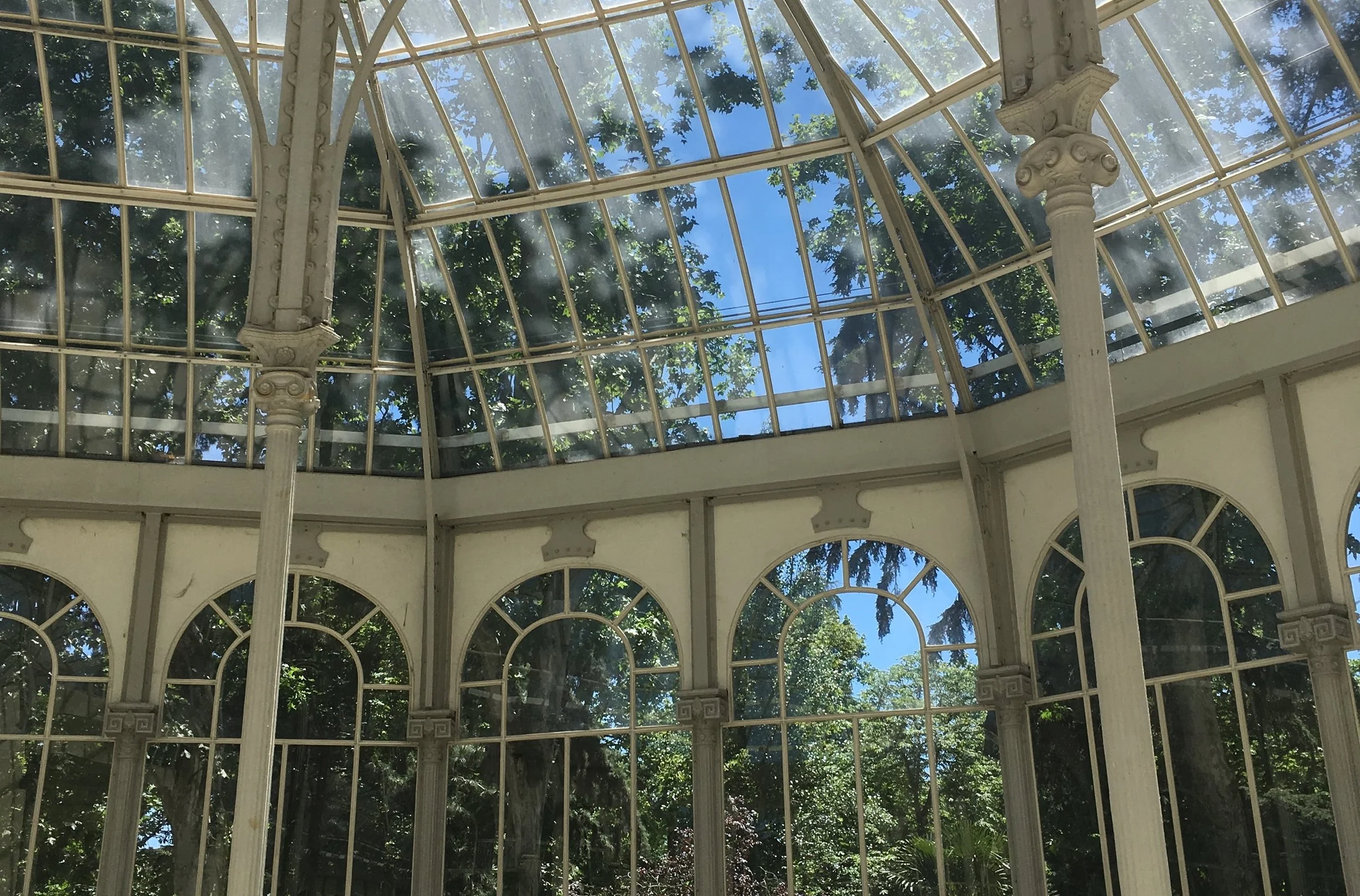 tree view from inside a palace with open windows