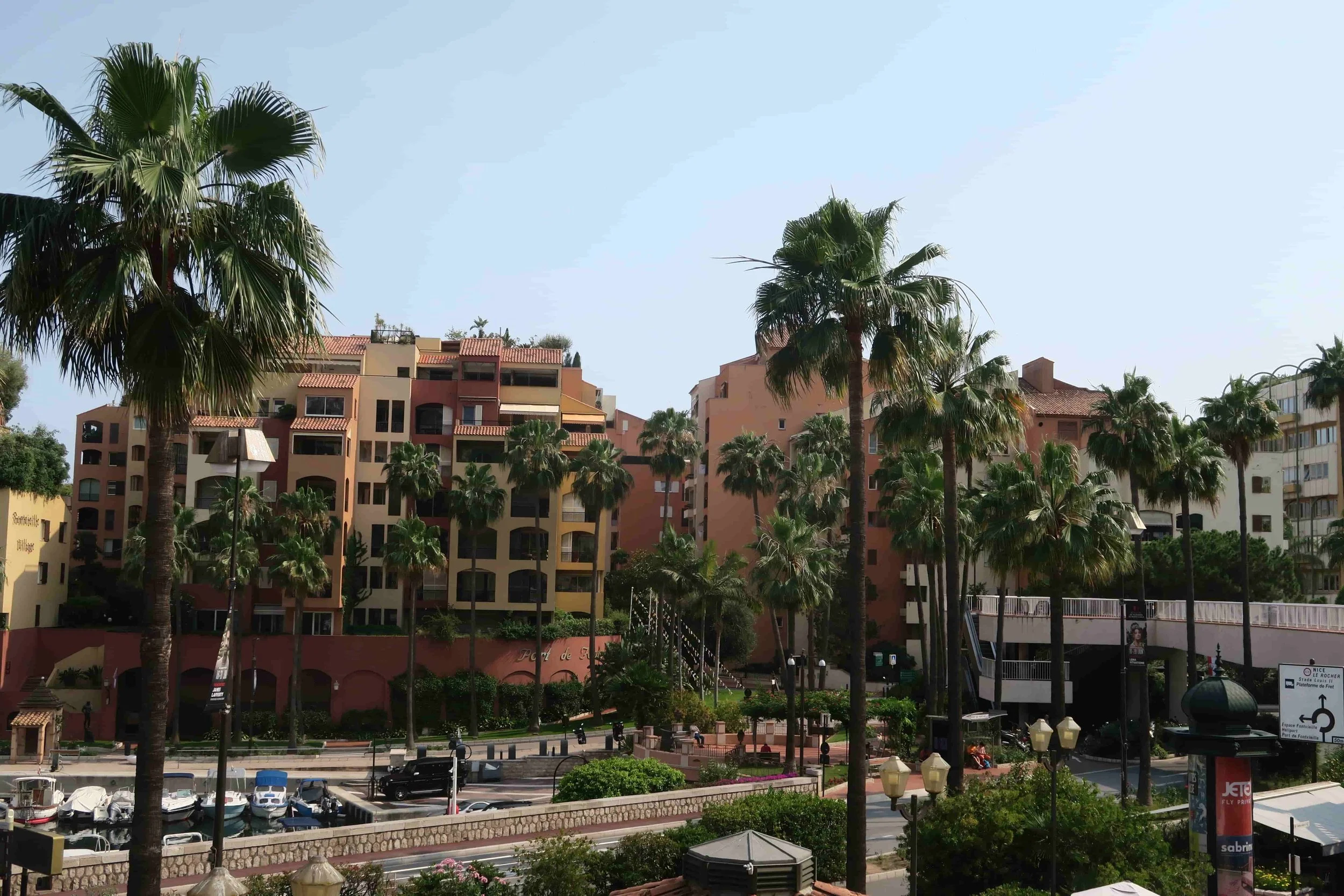 palm trees and orange buildings