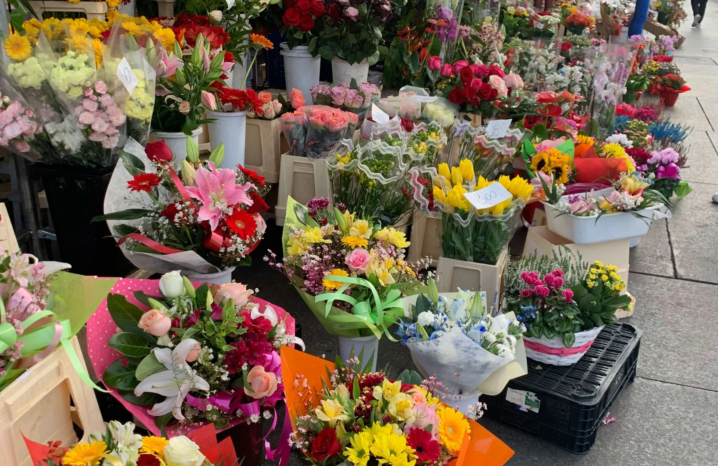 colorful flowers in local market