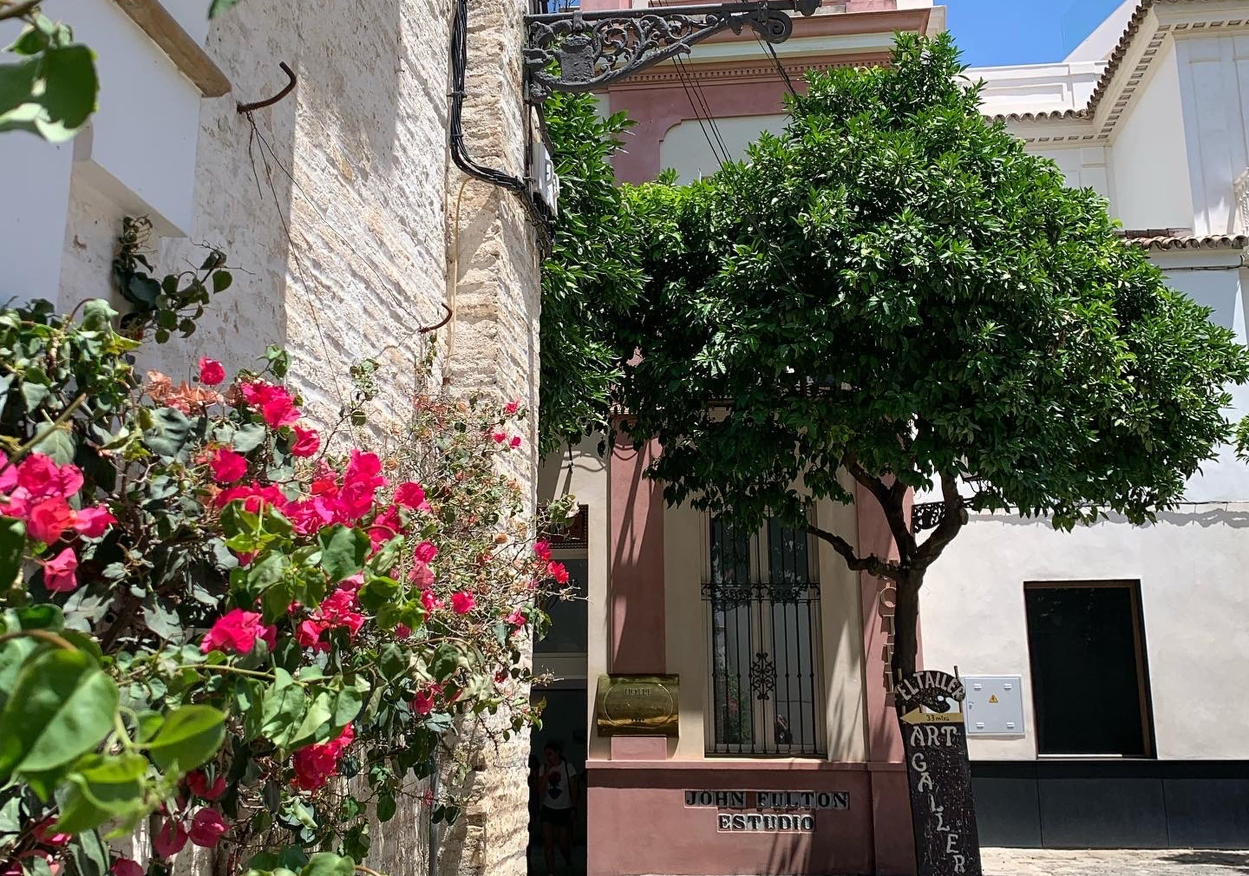 pink flowers in seville