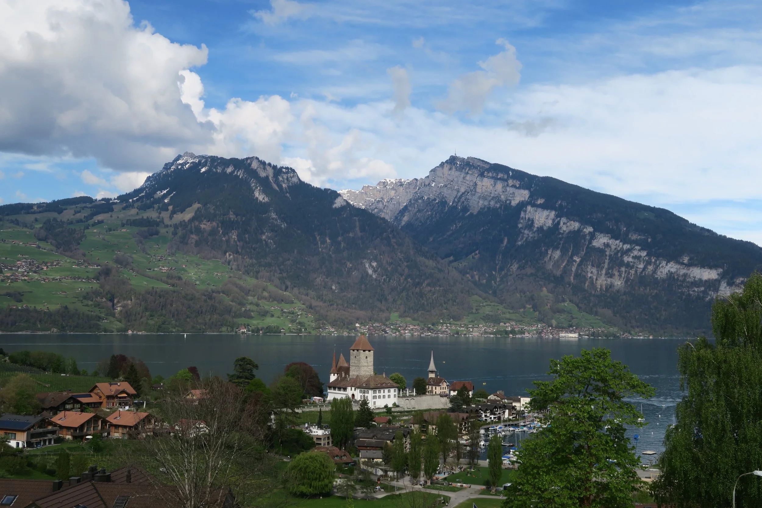 View of Swiss Alps in Speiz