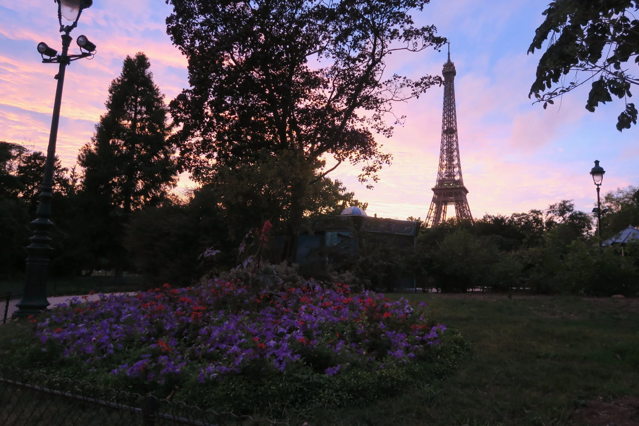 View of Eiffel Tower in pink sunset