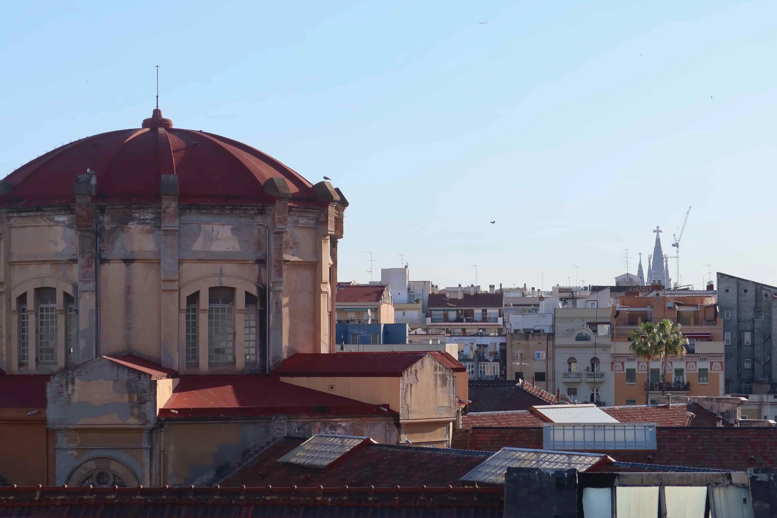 barcelona rooftop view
