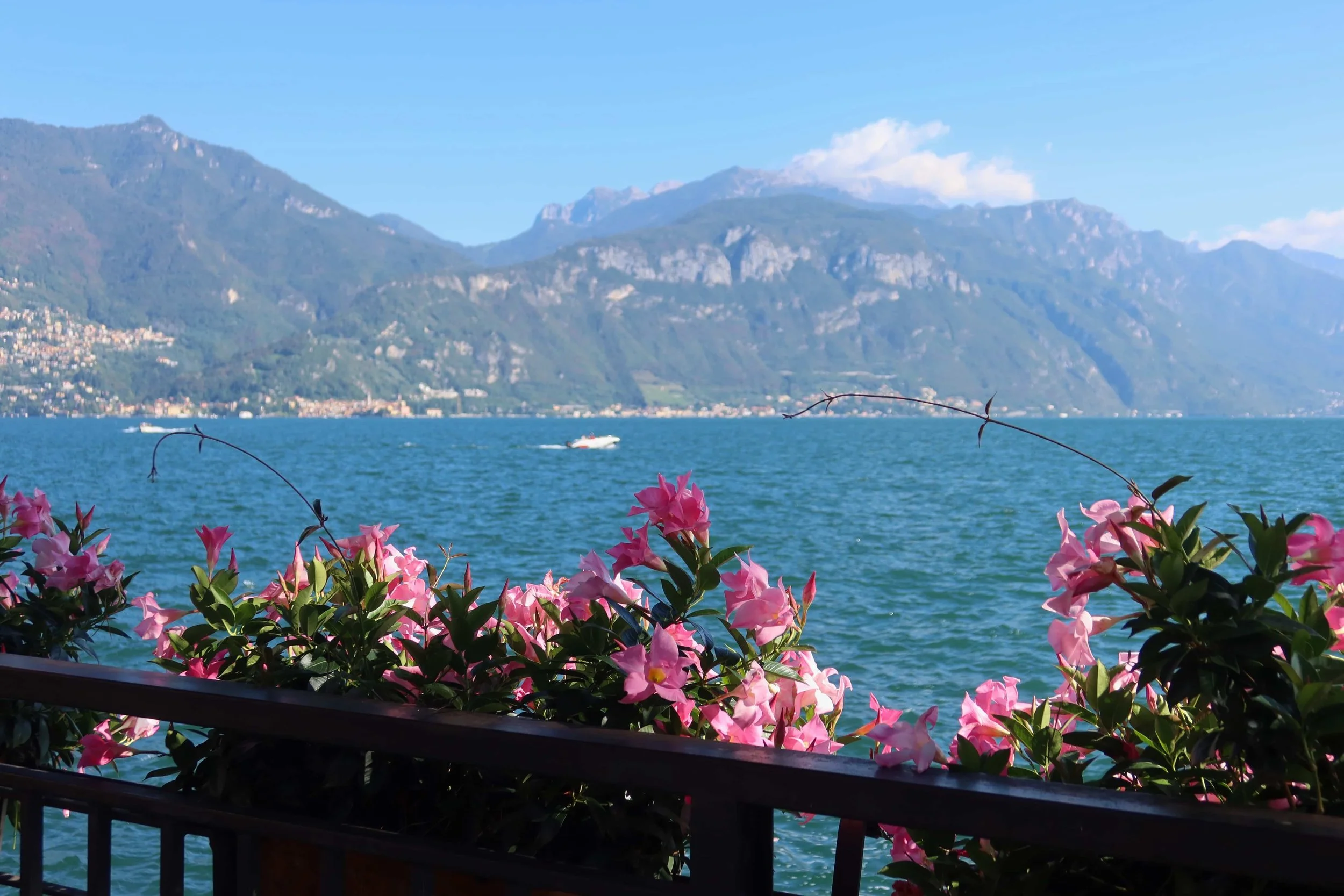 moutains and flowers in focus menaggio