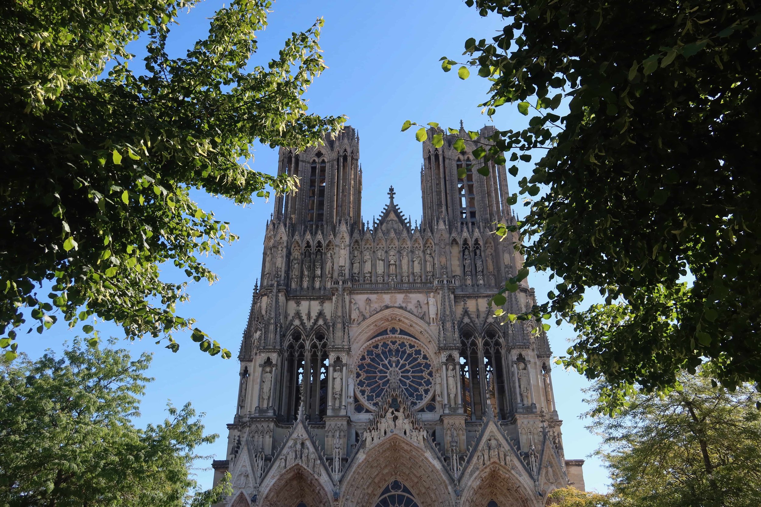 detailed cathedral with trees and sunlight