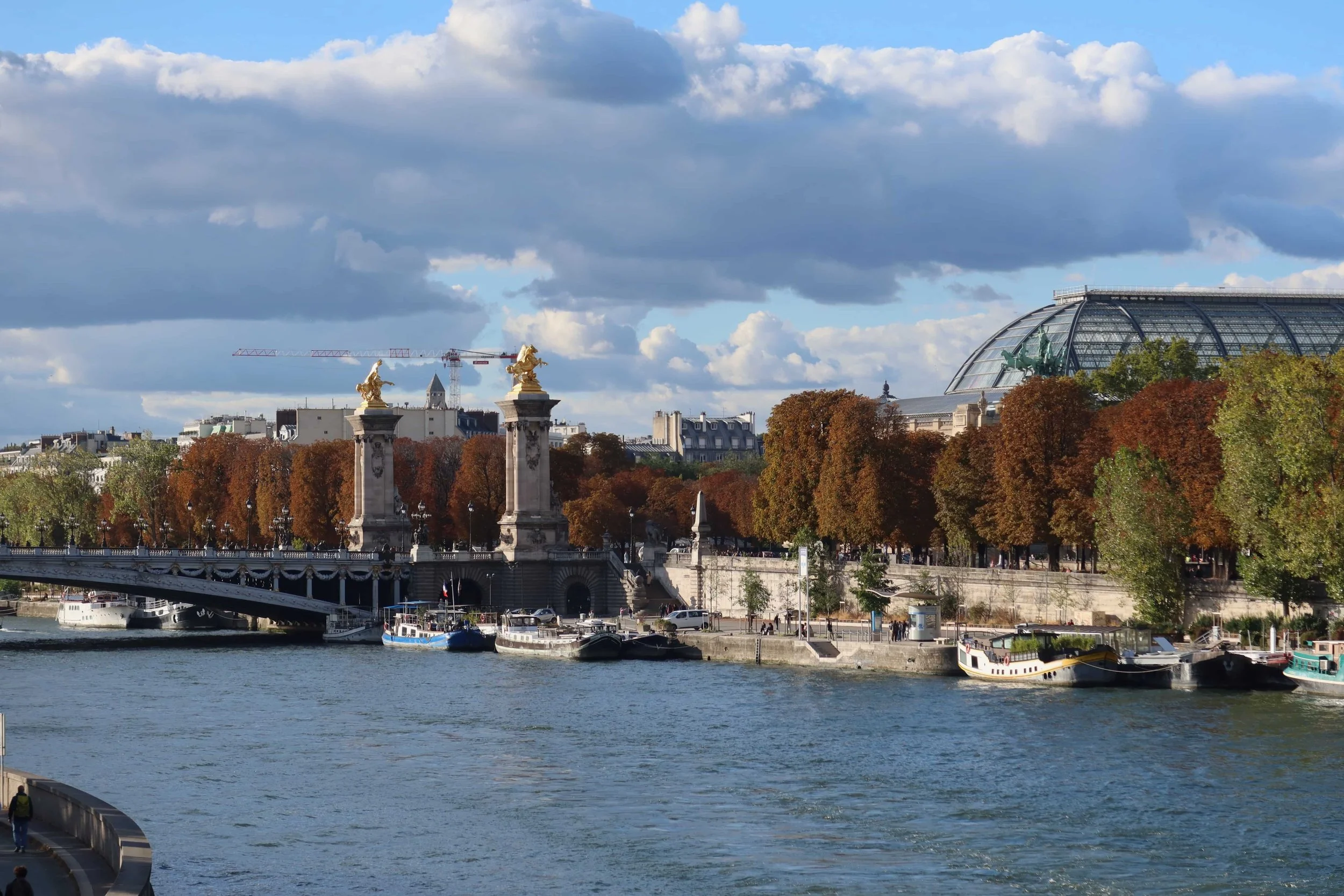 pont alexnadre iii with the trees