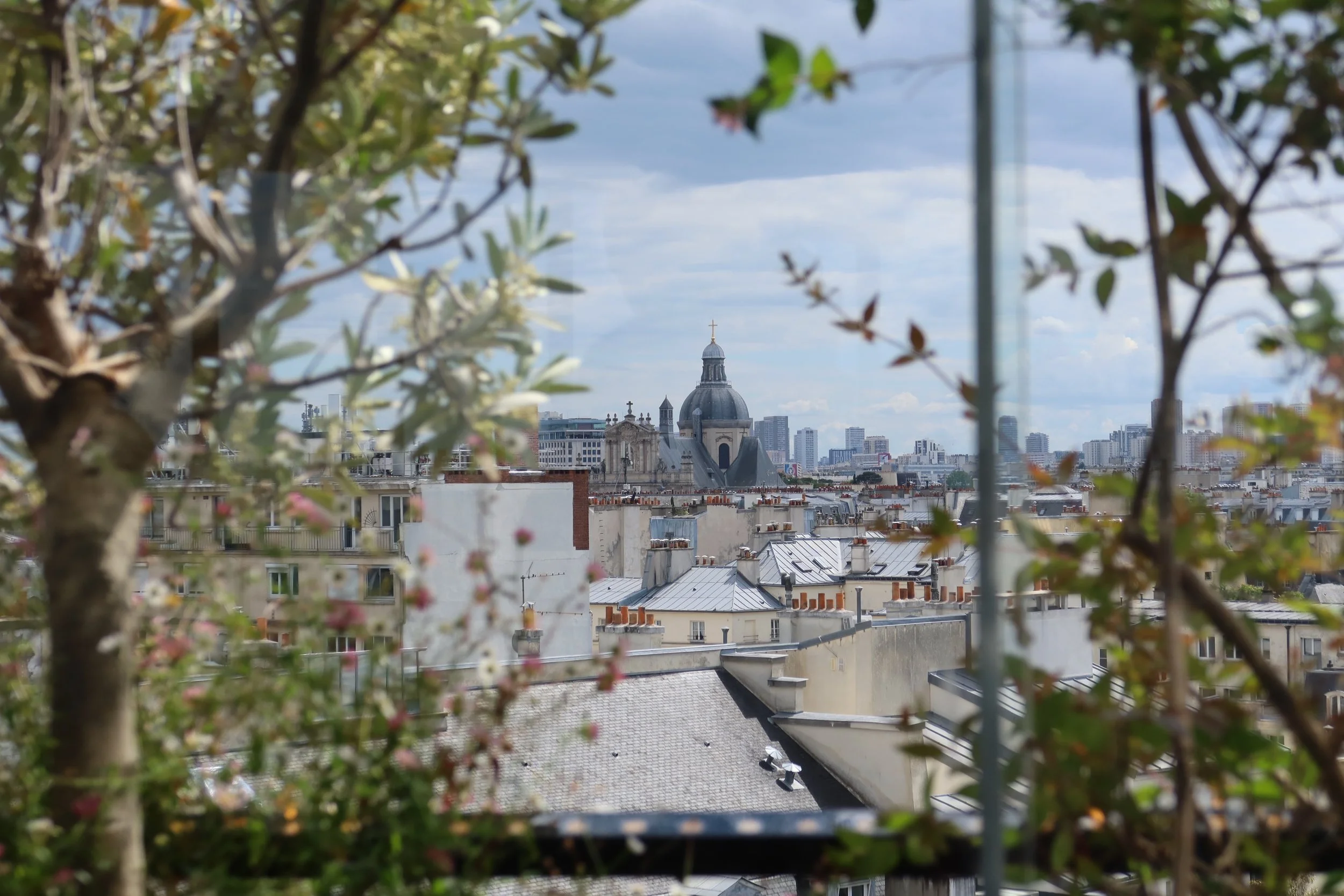 pretty view paris dome in center and flowers surrounding it with parisian rooftops