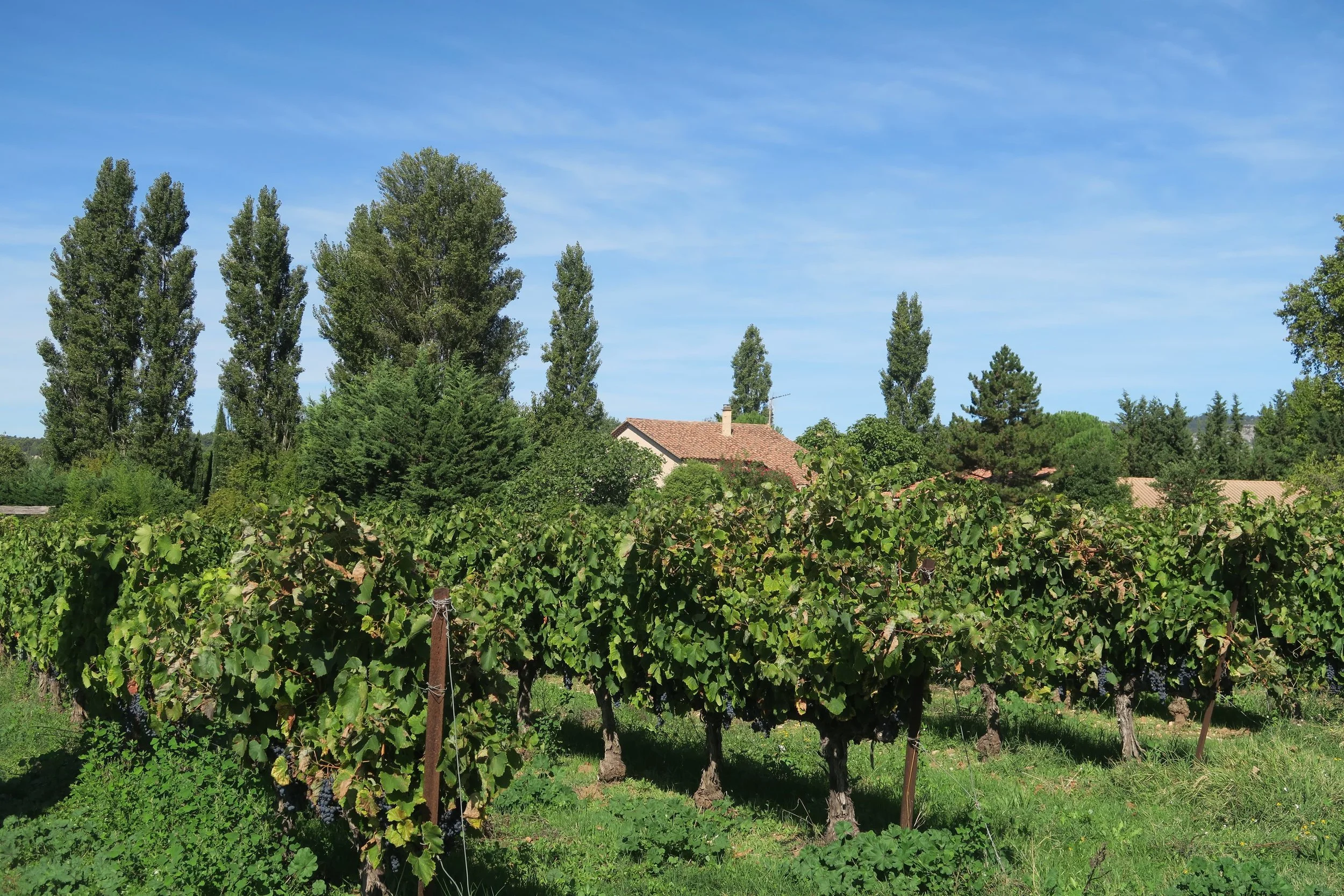 In a small town in Provence, France; September 2025