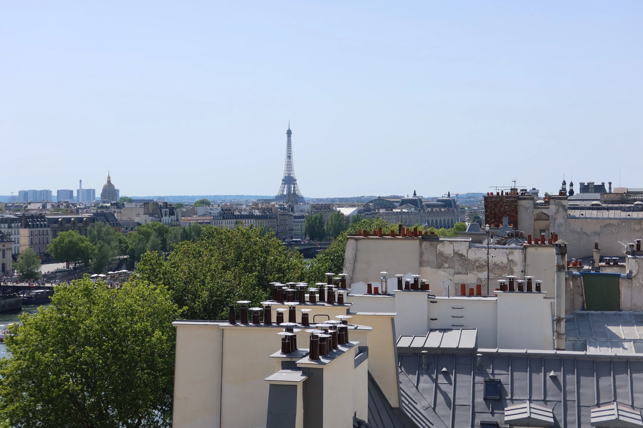 view of paris with trees and parisian rooftops