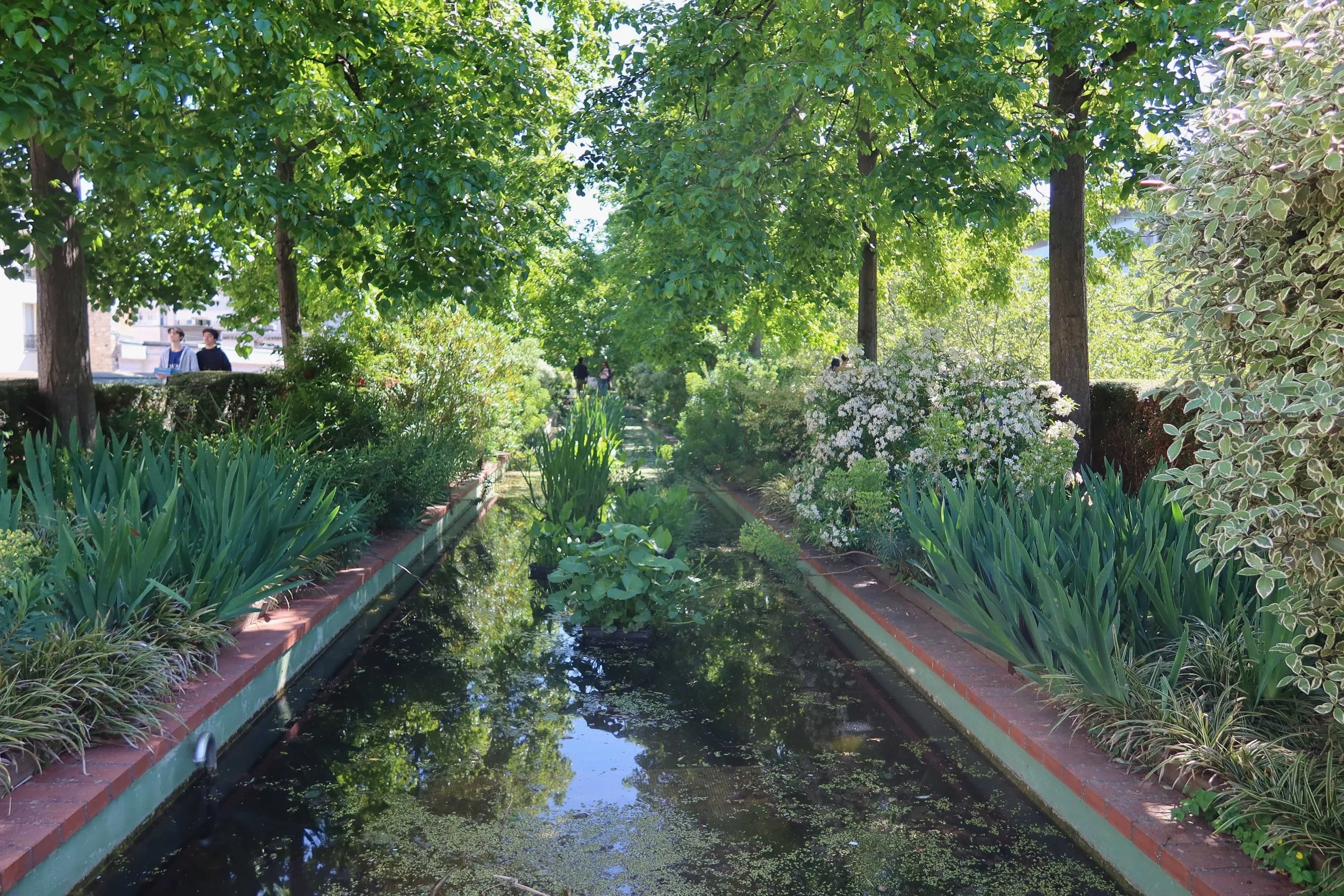 quiet pond in paris