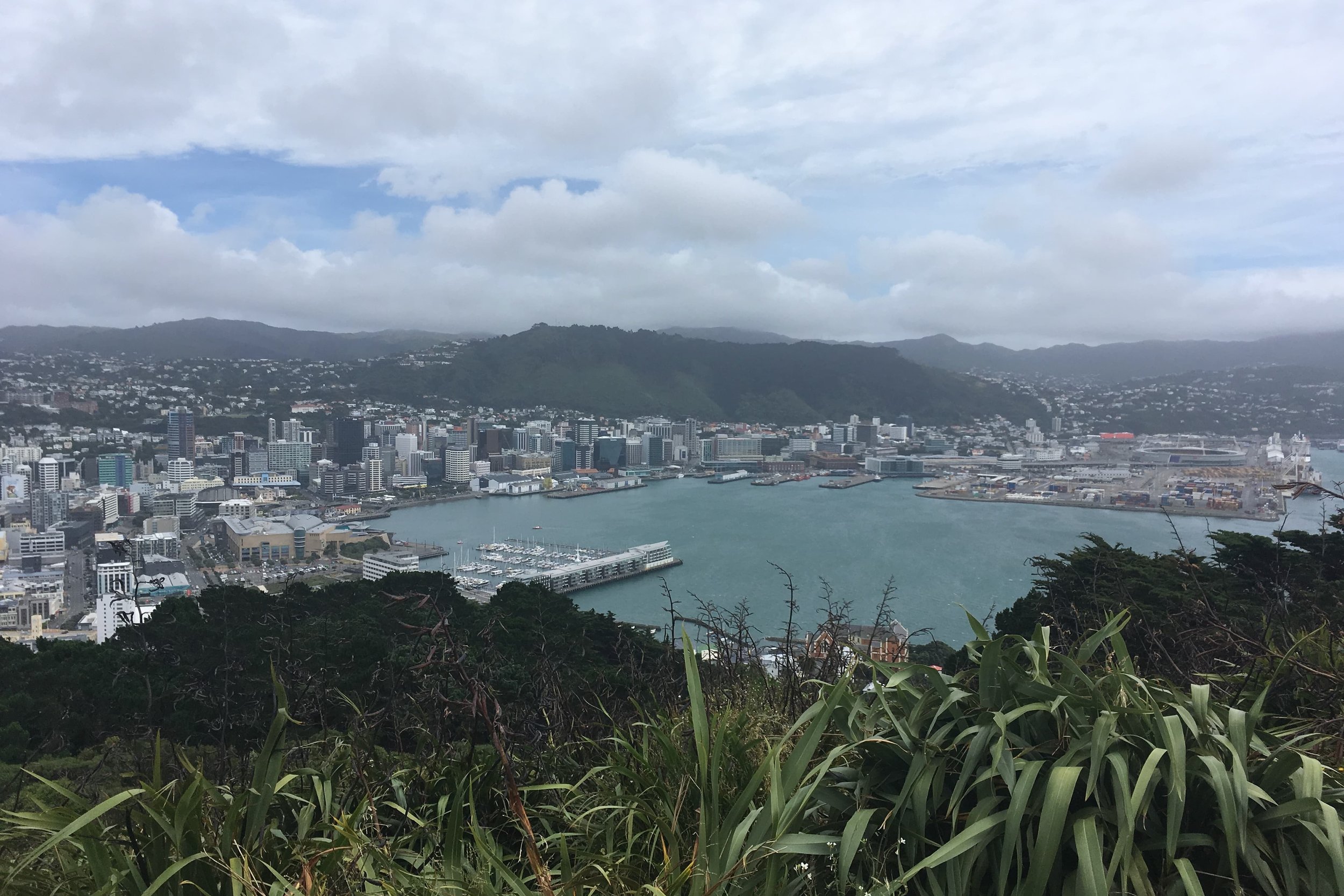 View of Wellington, New Zealand; January 2019
