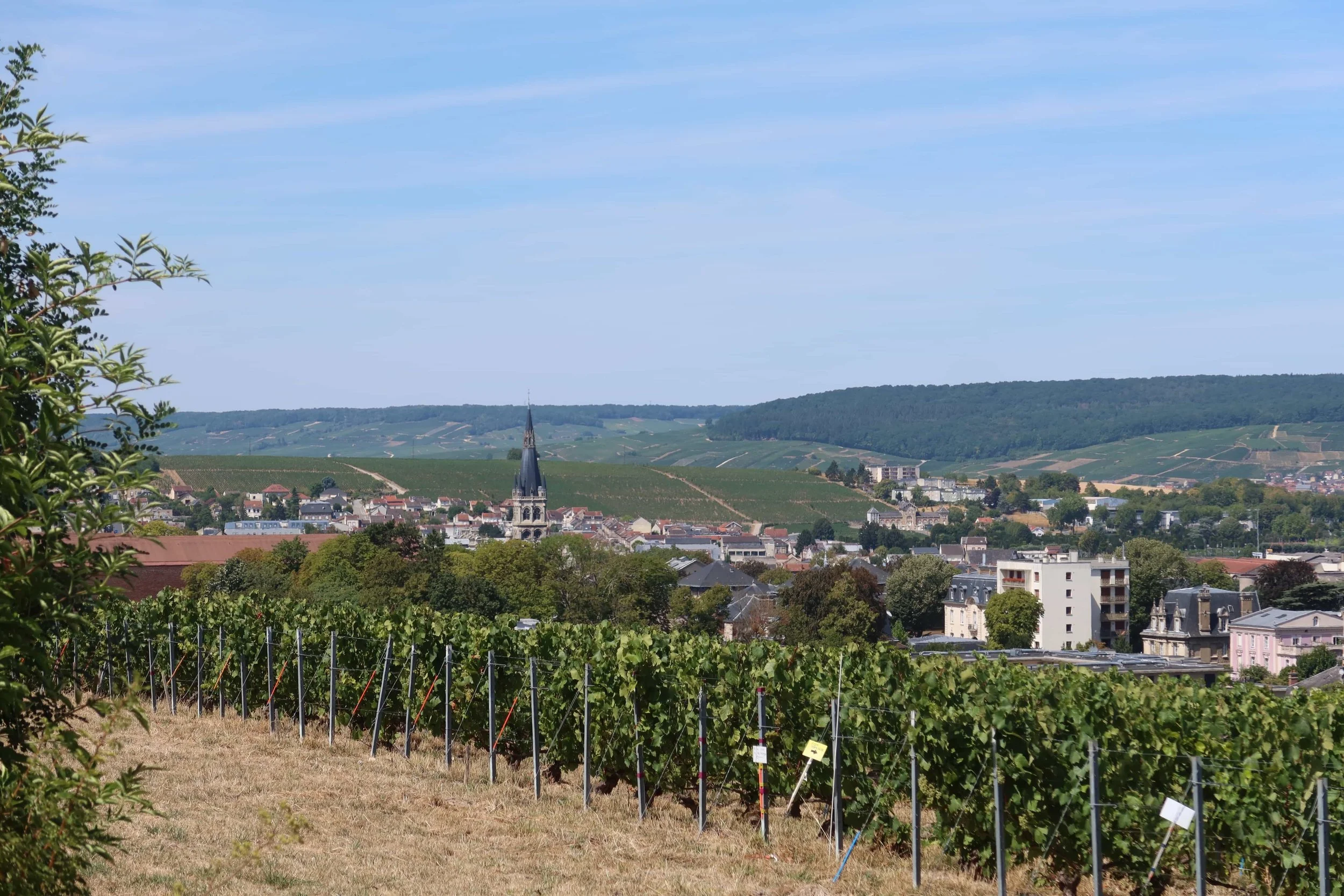 vineyards hills and small city view france champagne region