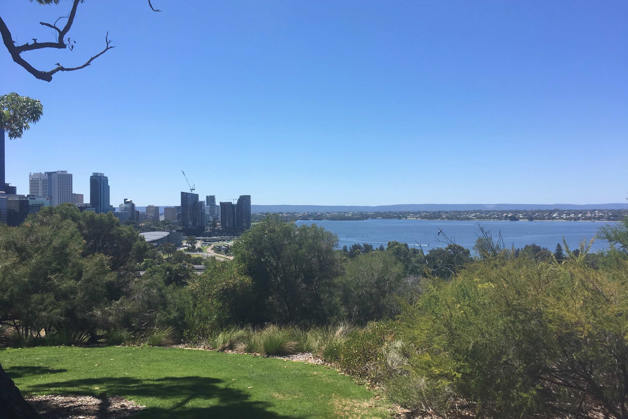 view of park with ocean grass and modern buildings