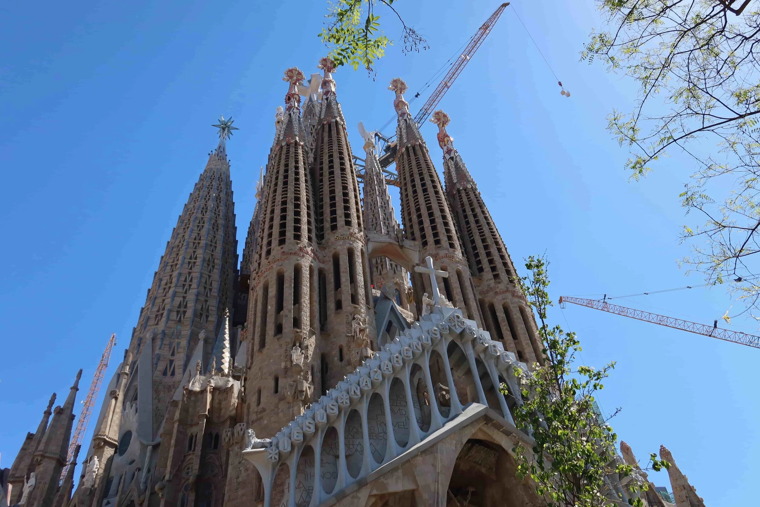 sagrada familia tree view in blue skies and green trees