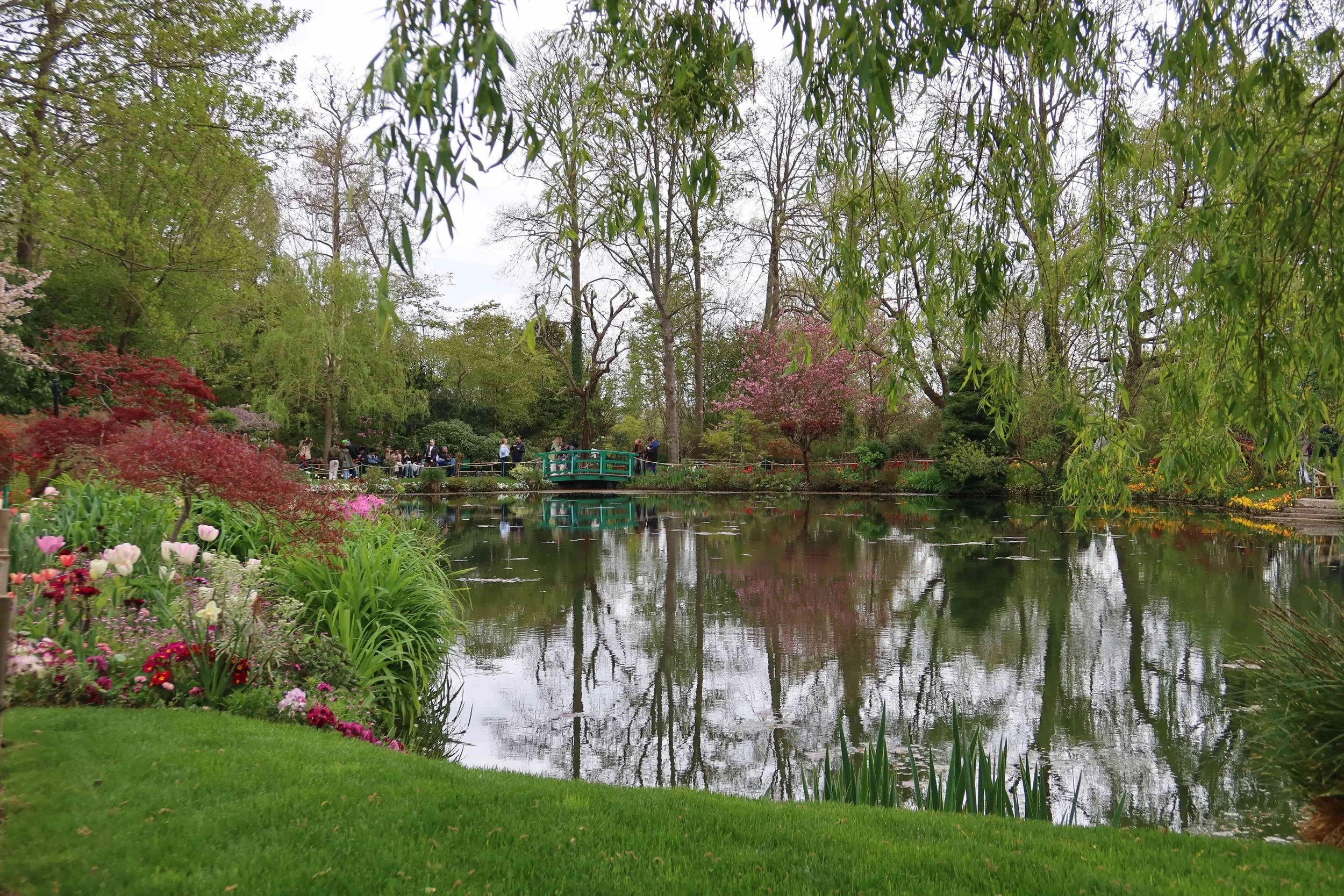 water lily pond giverny wideshot view
