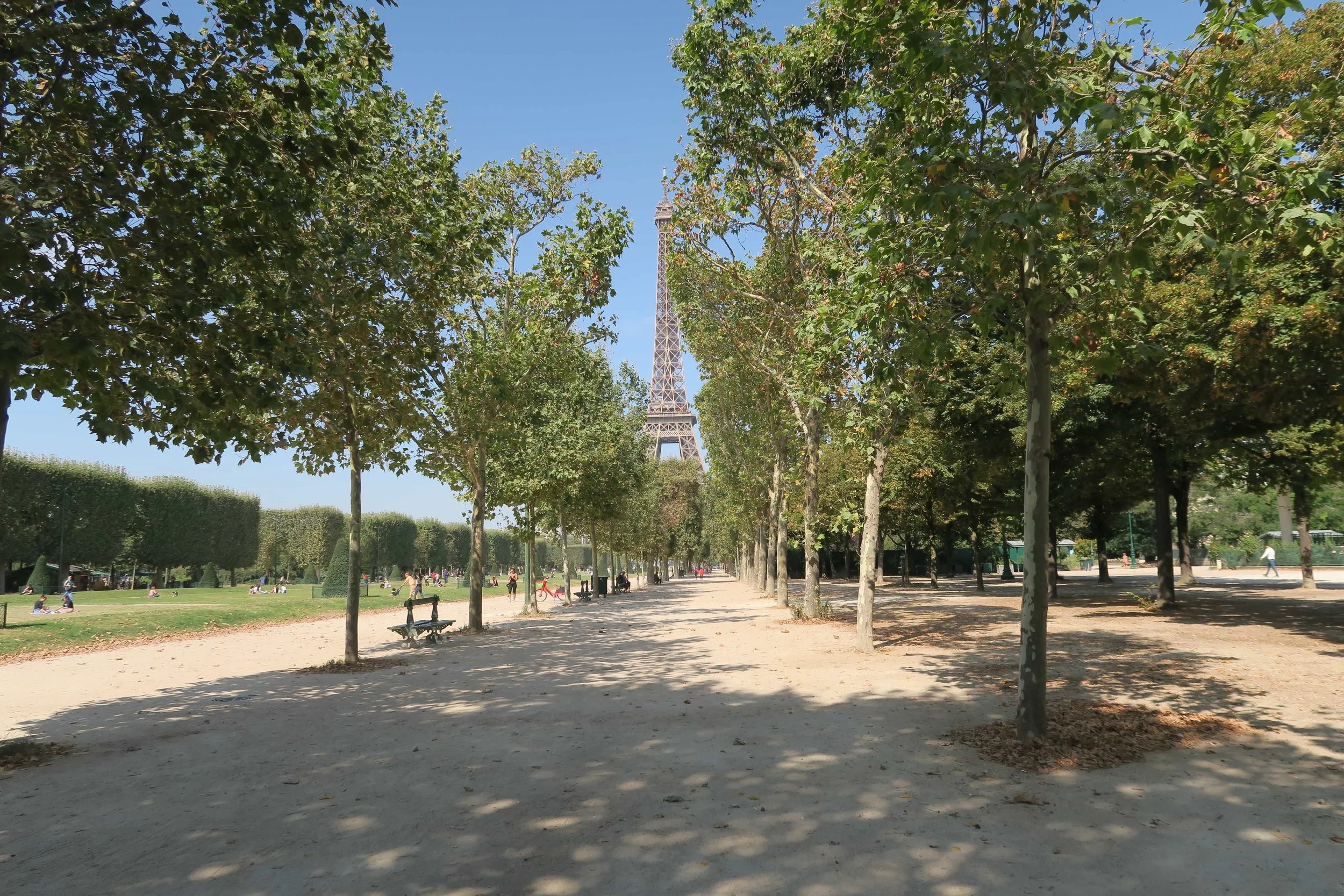 green trees eiffel tower in between park with benches