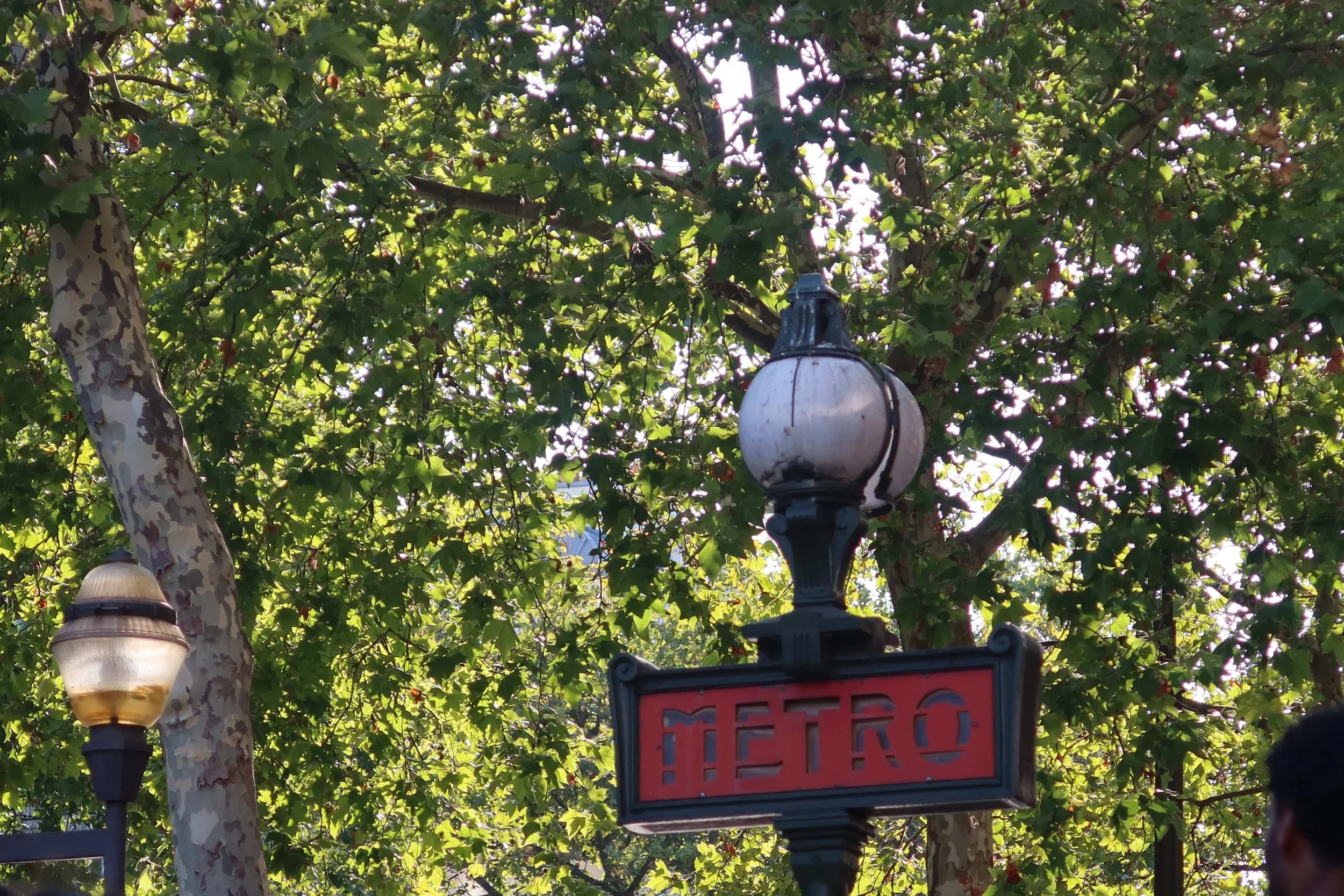 paris metro leafy trees