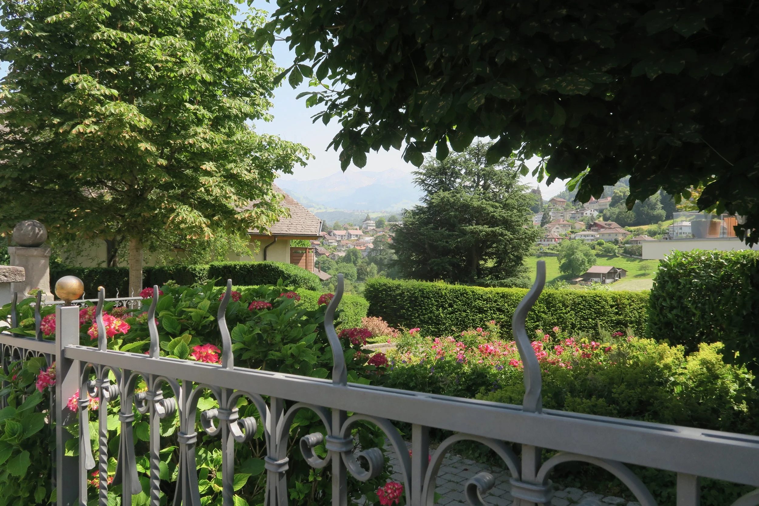 houses with green trees and flowers