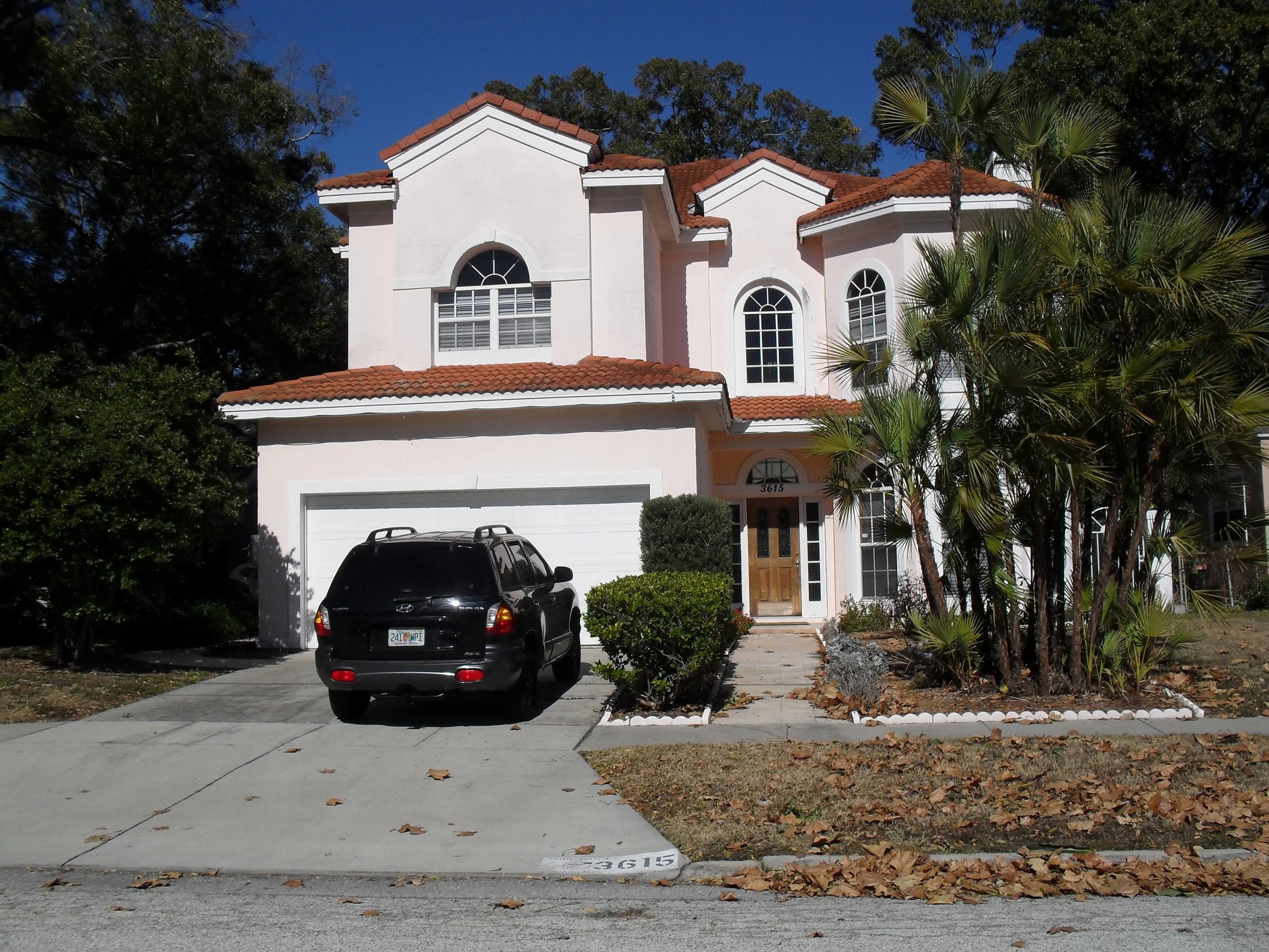 house in downtown tampa