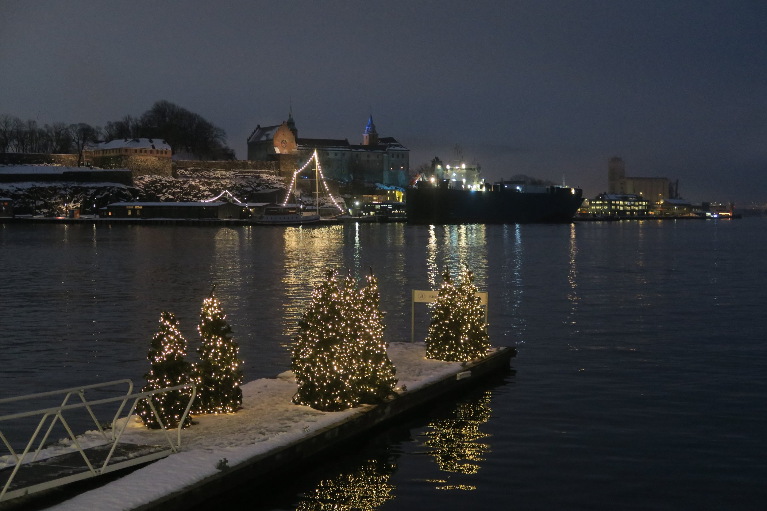 view of castlein the distance with christmas trees reflecting on the water in oslo
