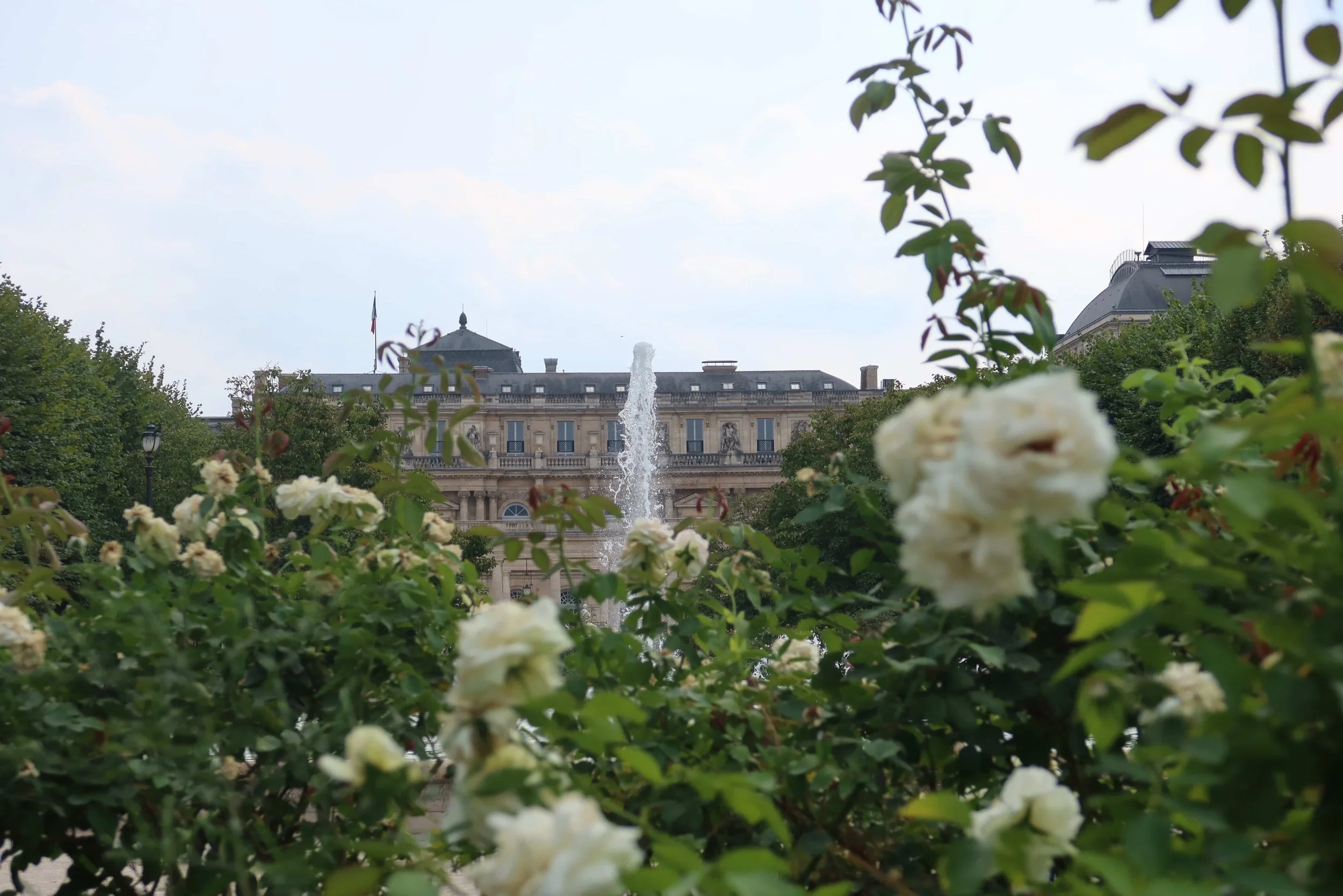 white flowers and fountain in quiet garden in paris