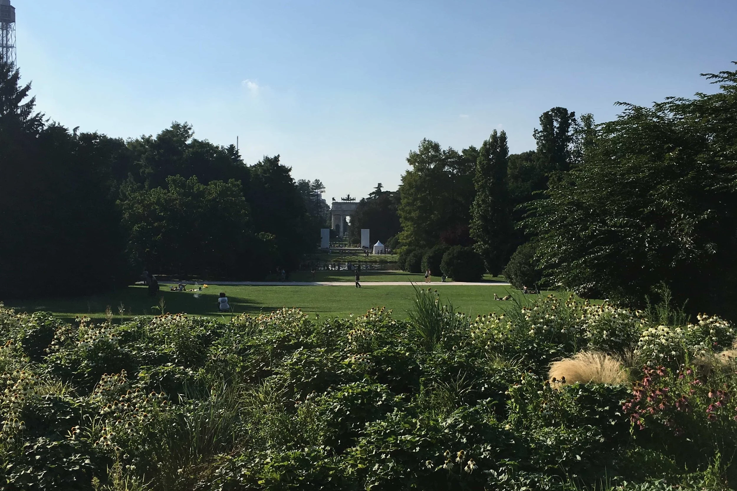 pretty local green park
