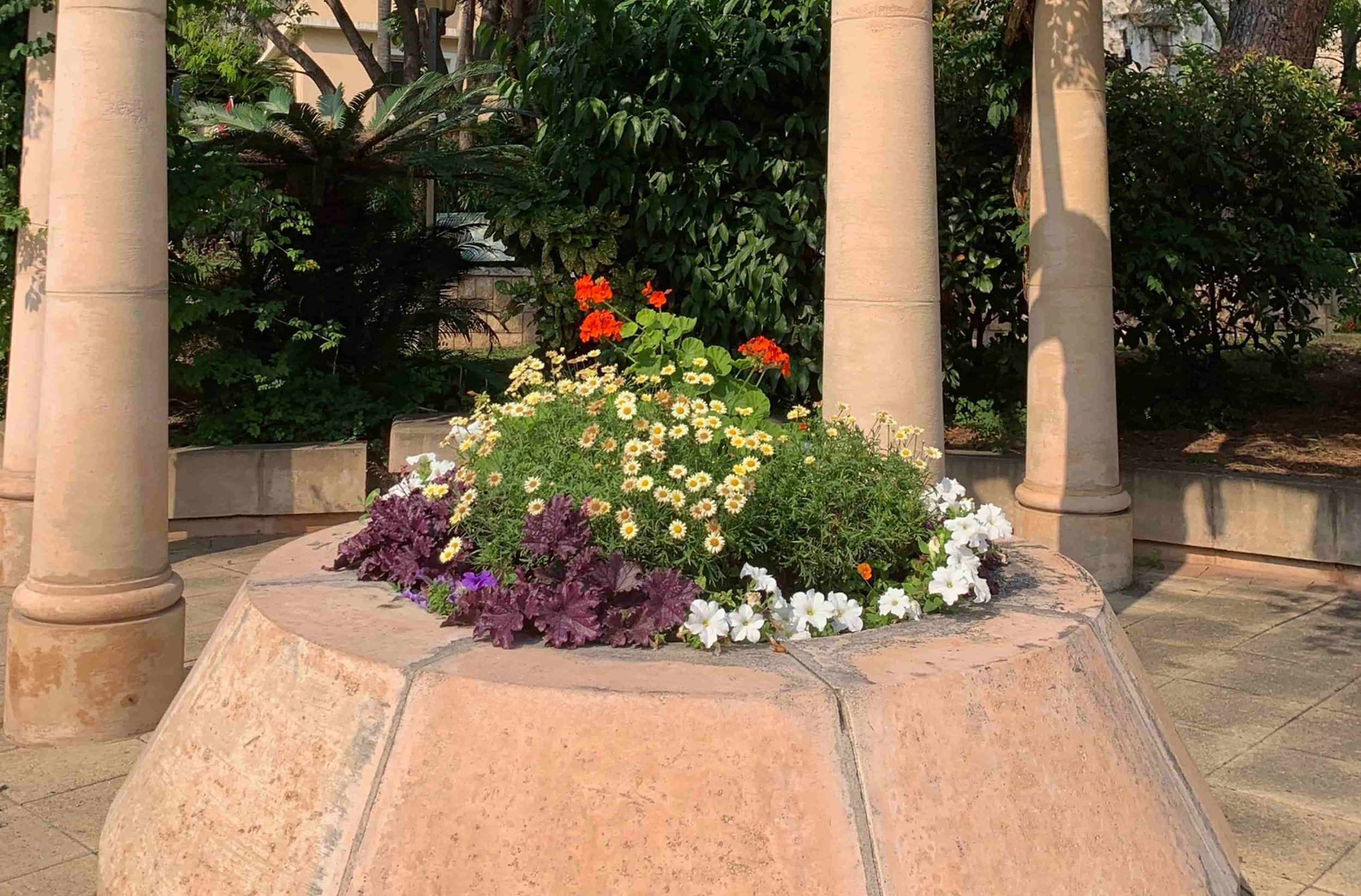 flowers organized neatly in a gazebo