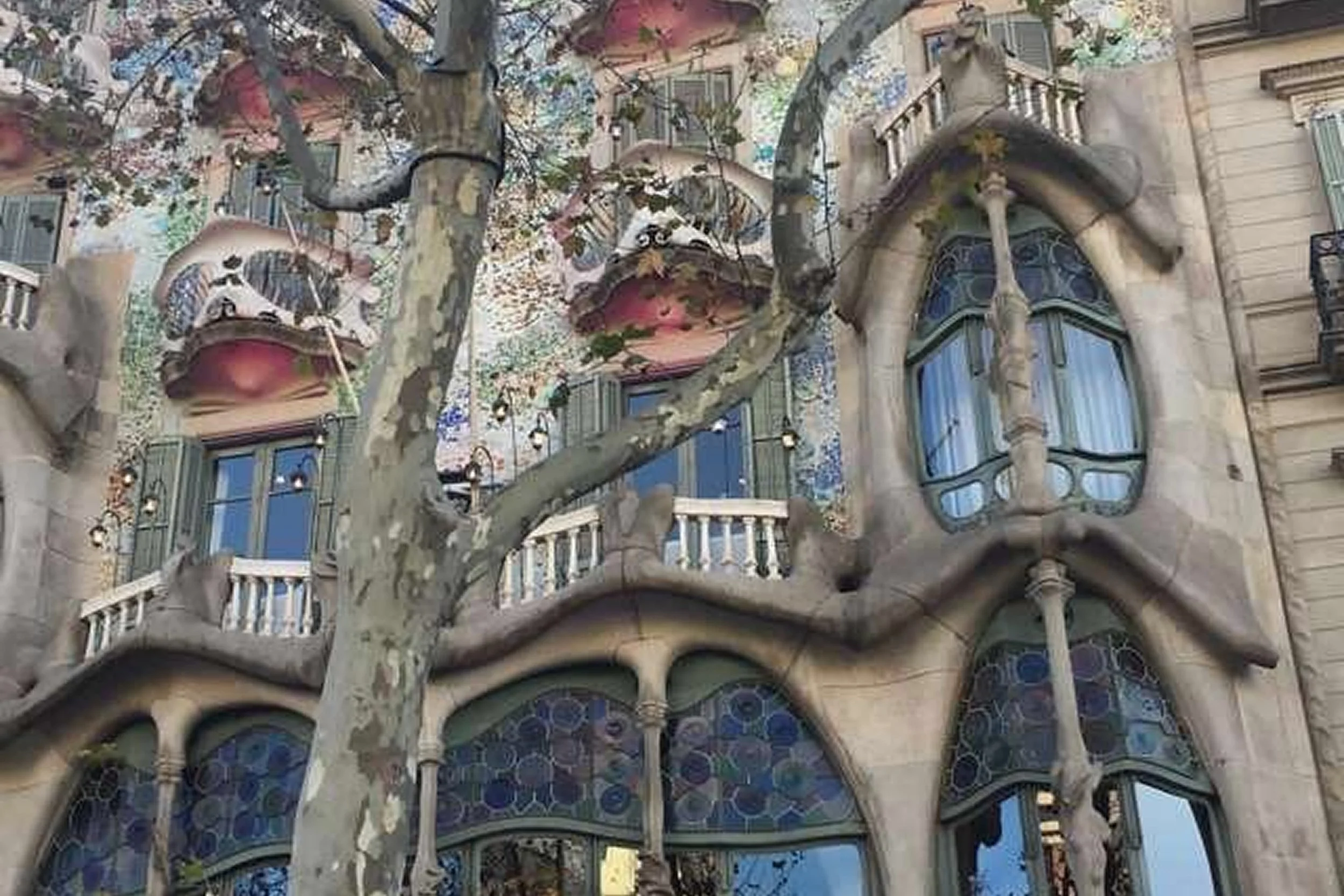 casa batllo in barcelona