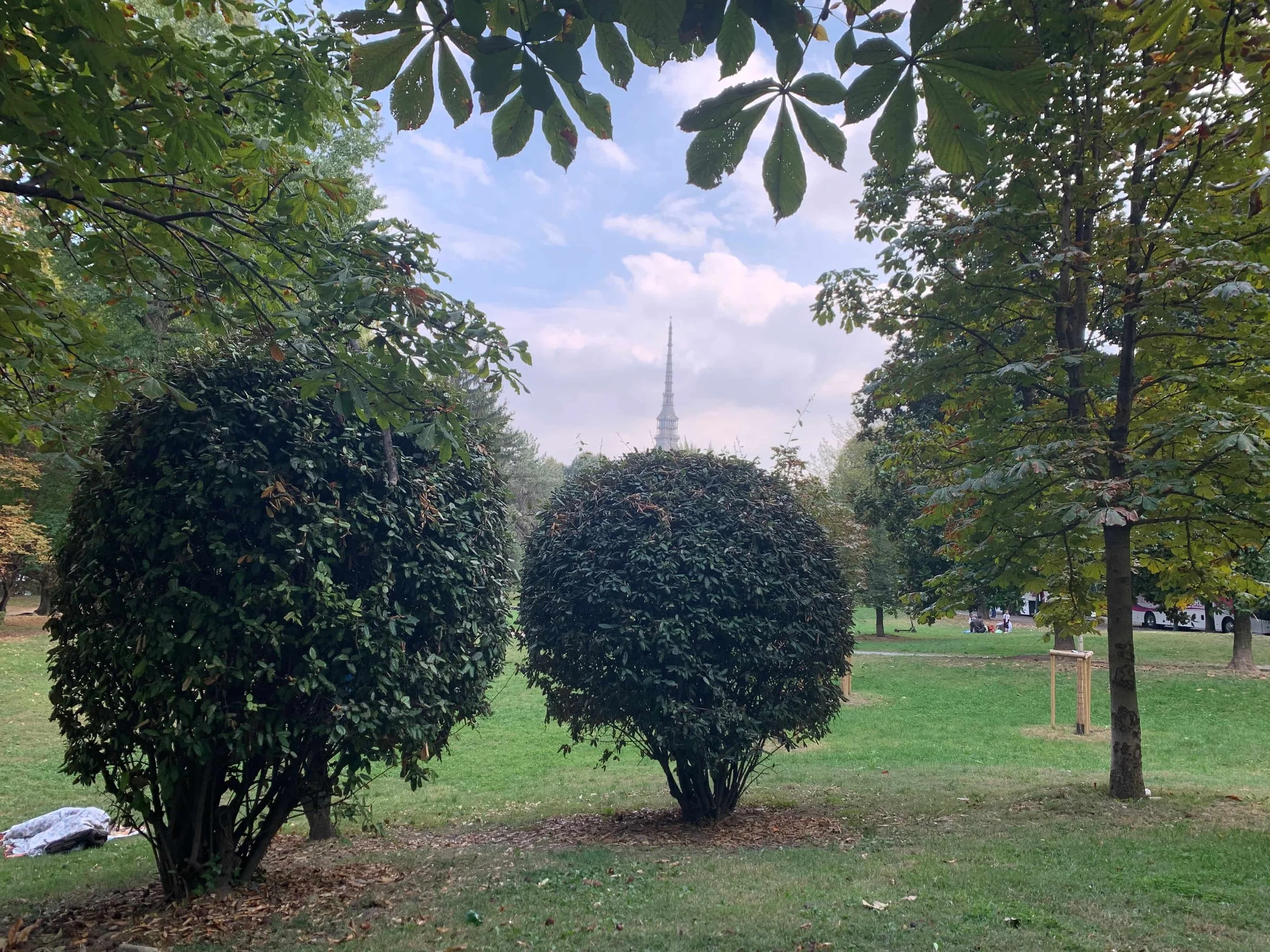 royal garden green trees and spire