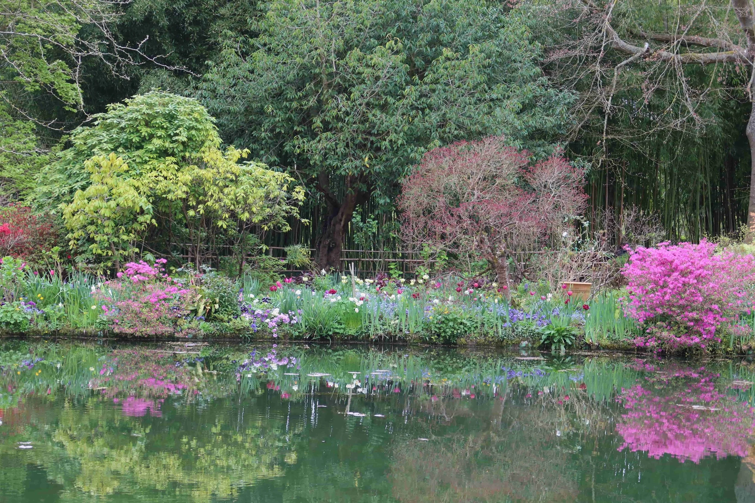 giverny lily pond watercolors