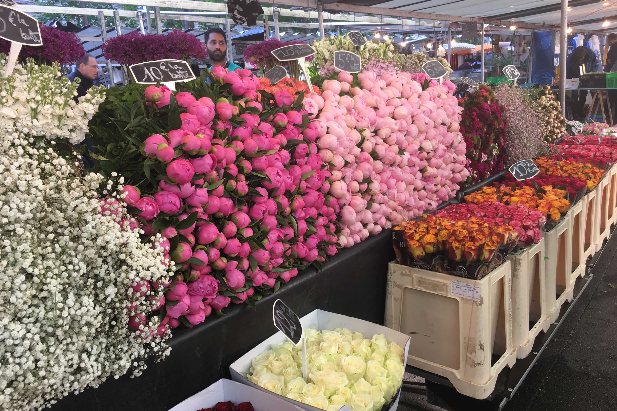 pink white and orange roses