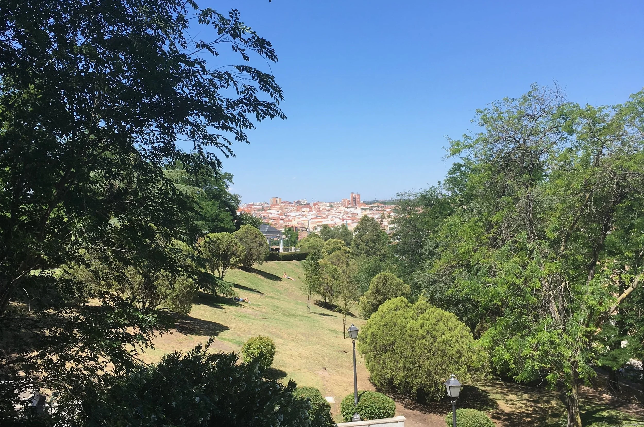 quiet green park with orange buildings in distnace