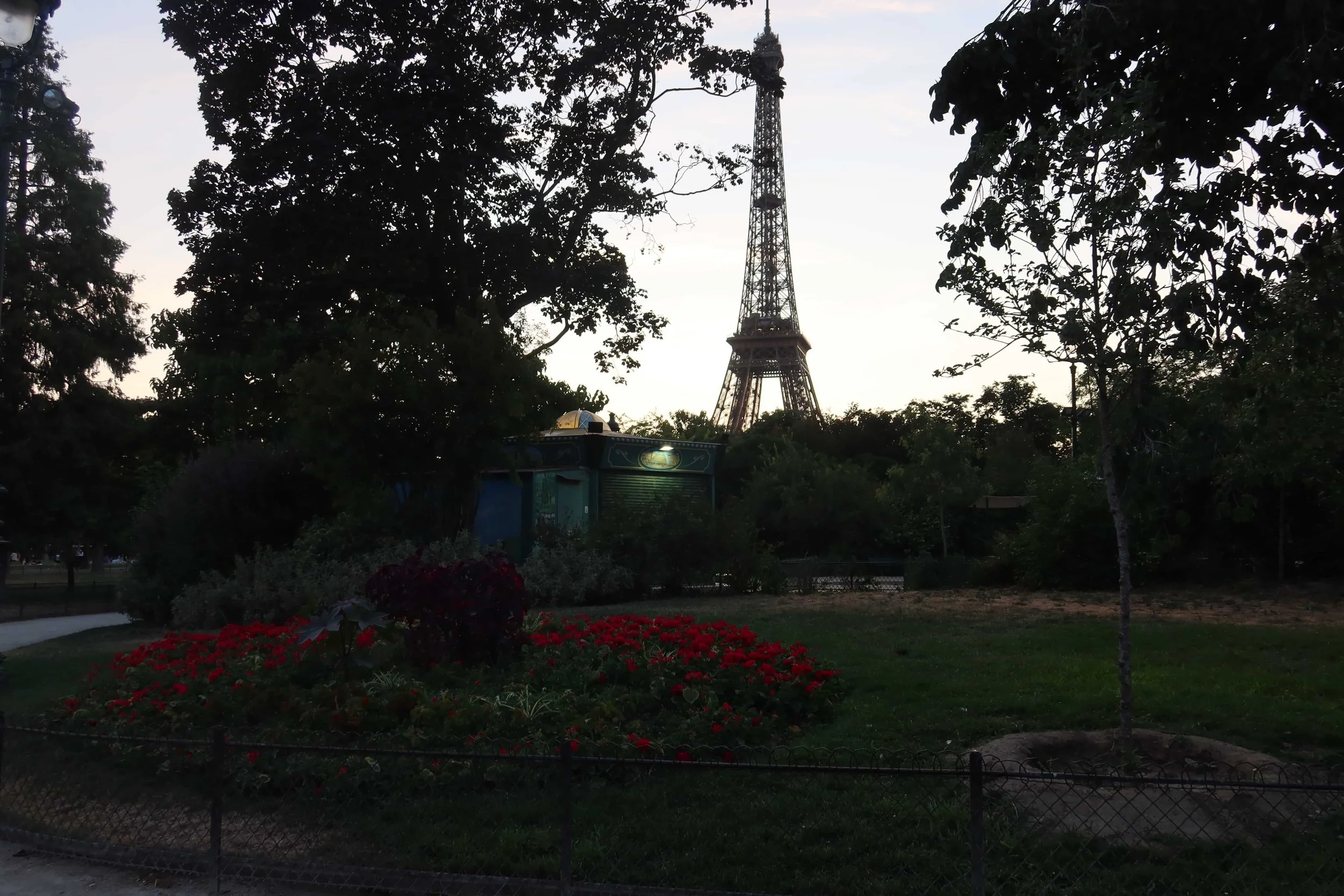eiffel tower view with red roses
