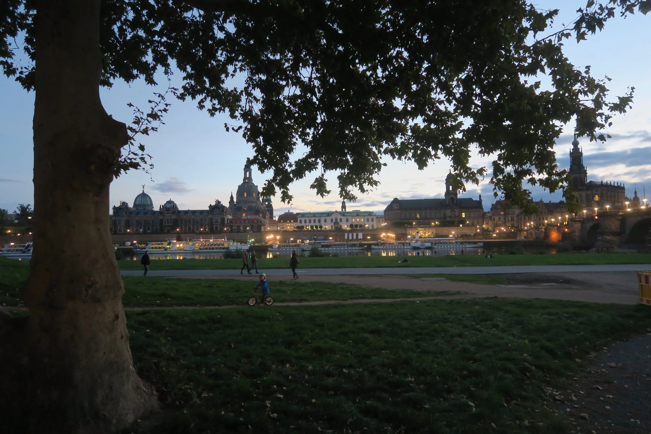 view of dresden city lighting up at night from park