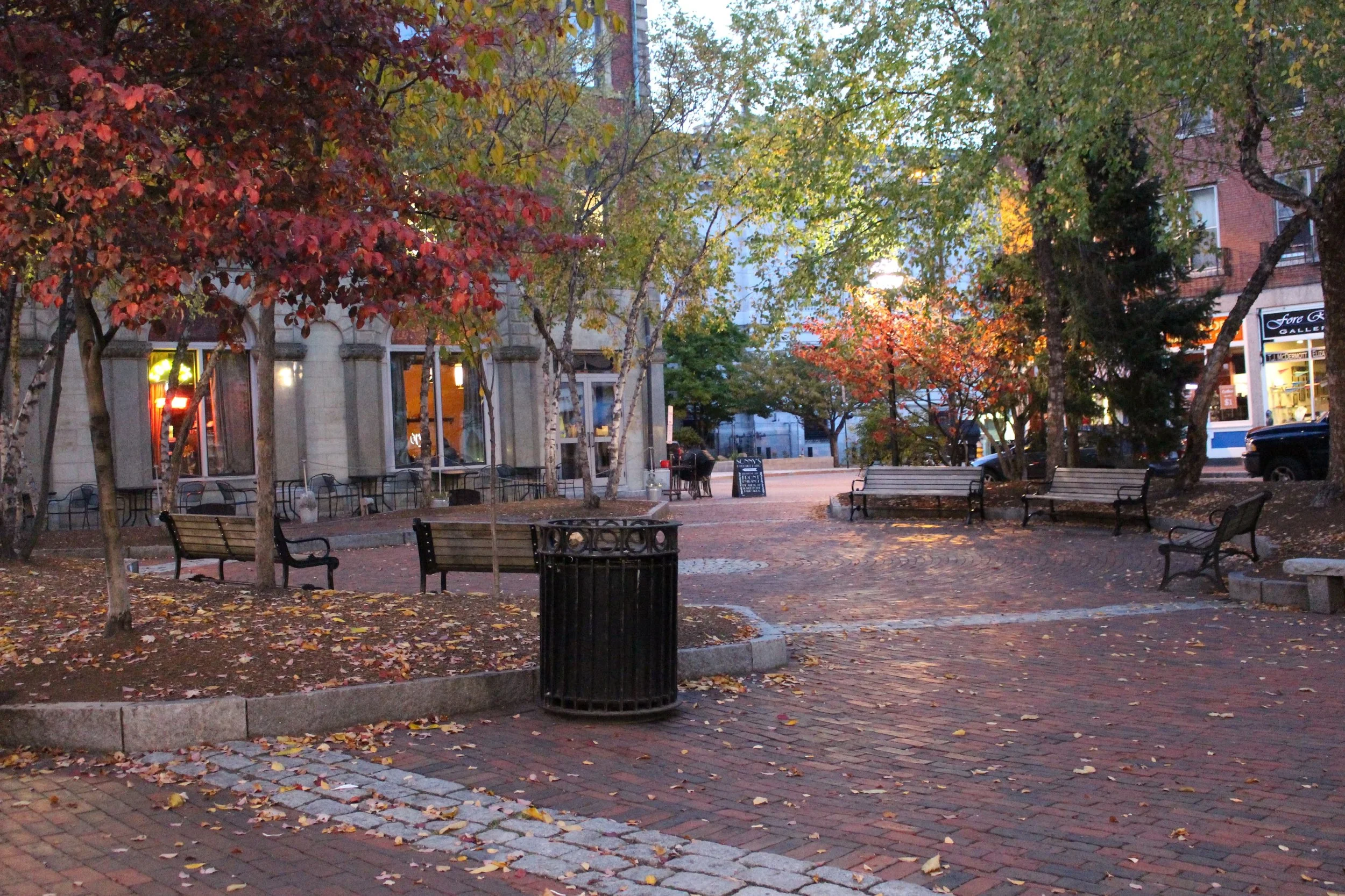 benches under fall foliage