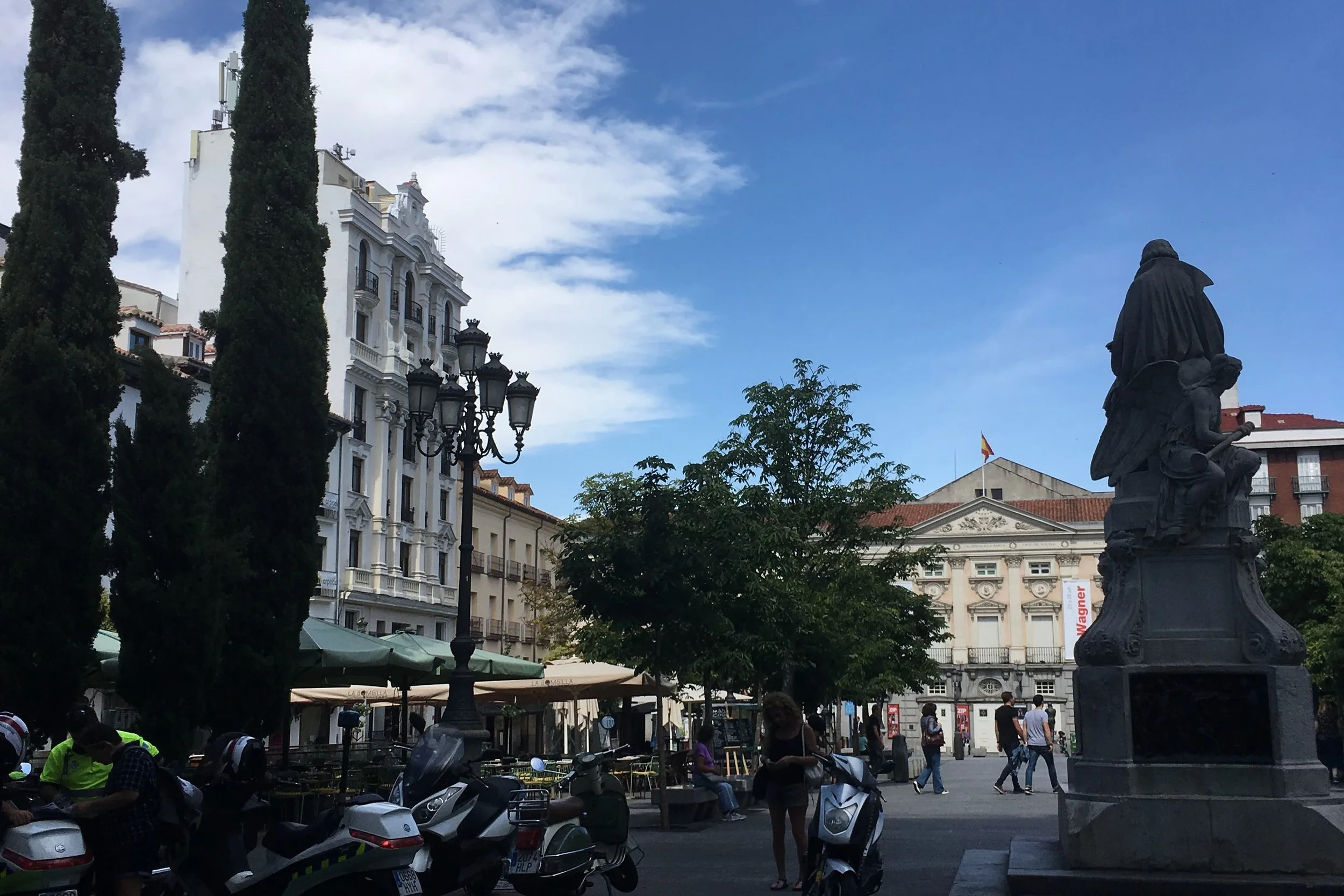 skinny trees and calm plaza