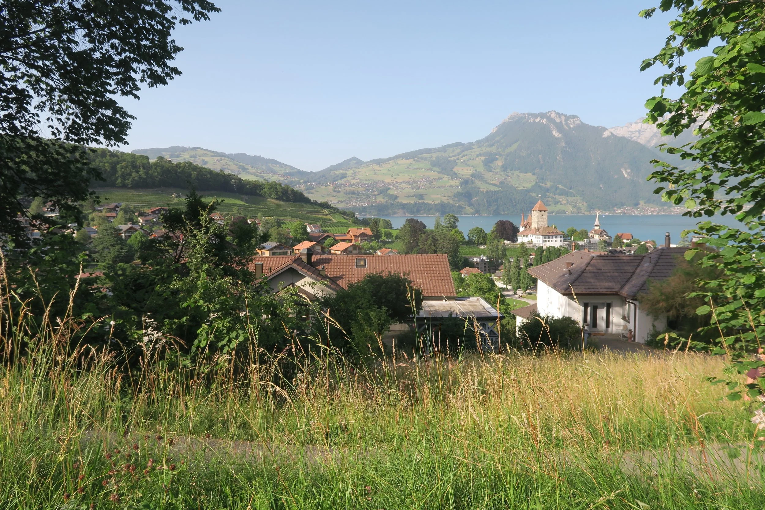 view of mountains and grass in swiss village