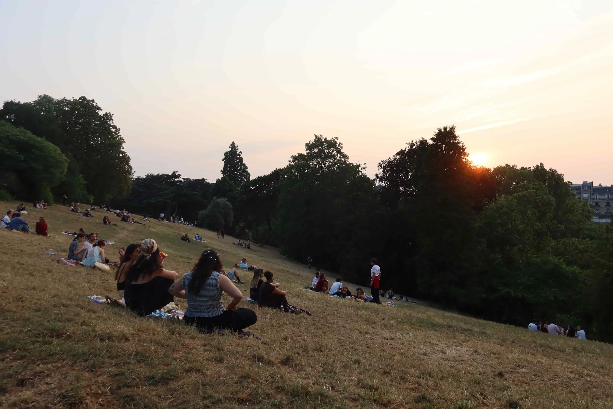 dry grass on hill in paris with sunset