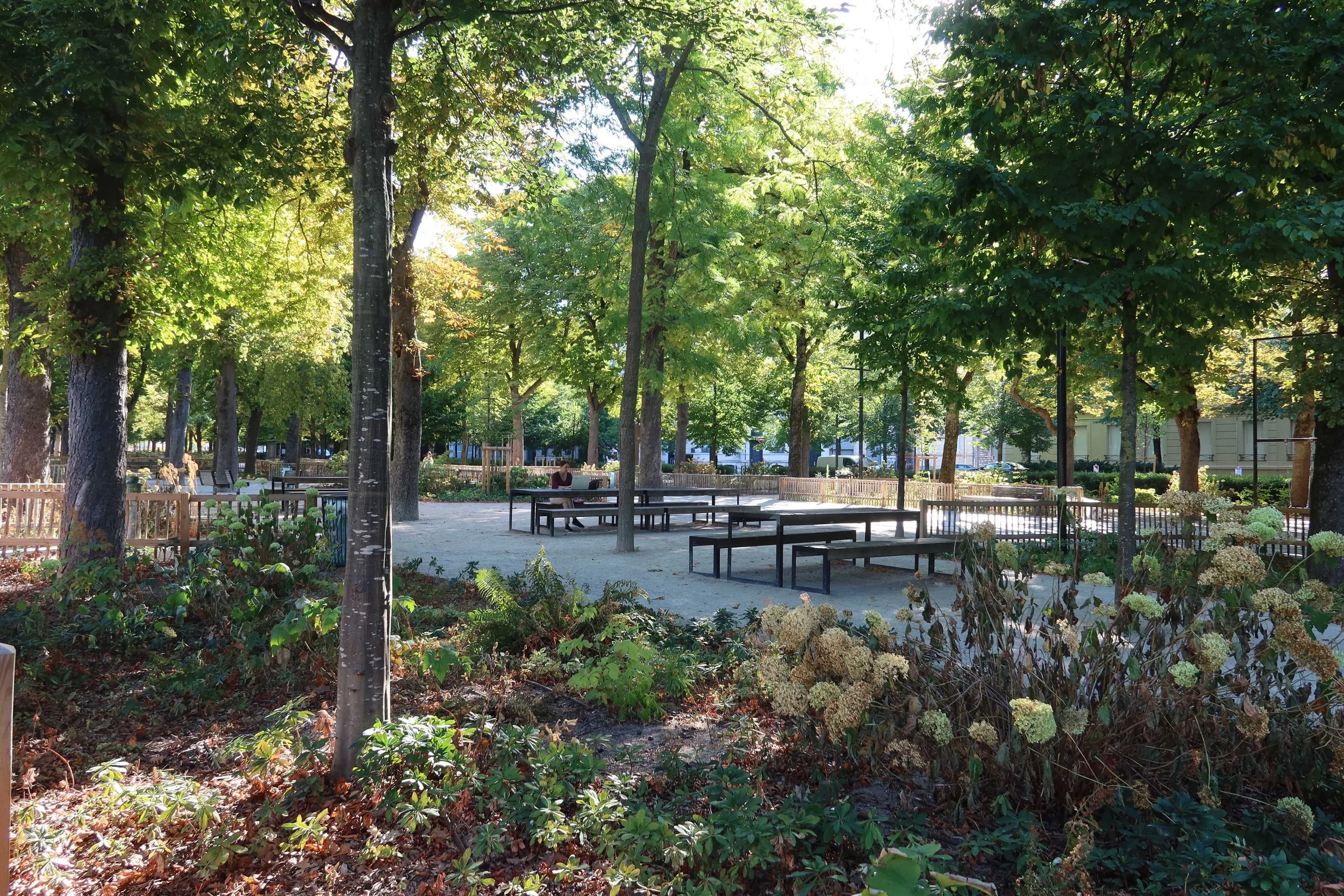 garden with flowers and benches modernized