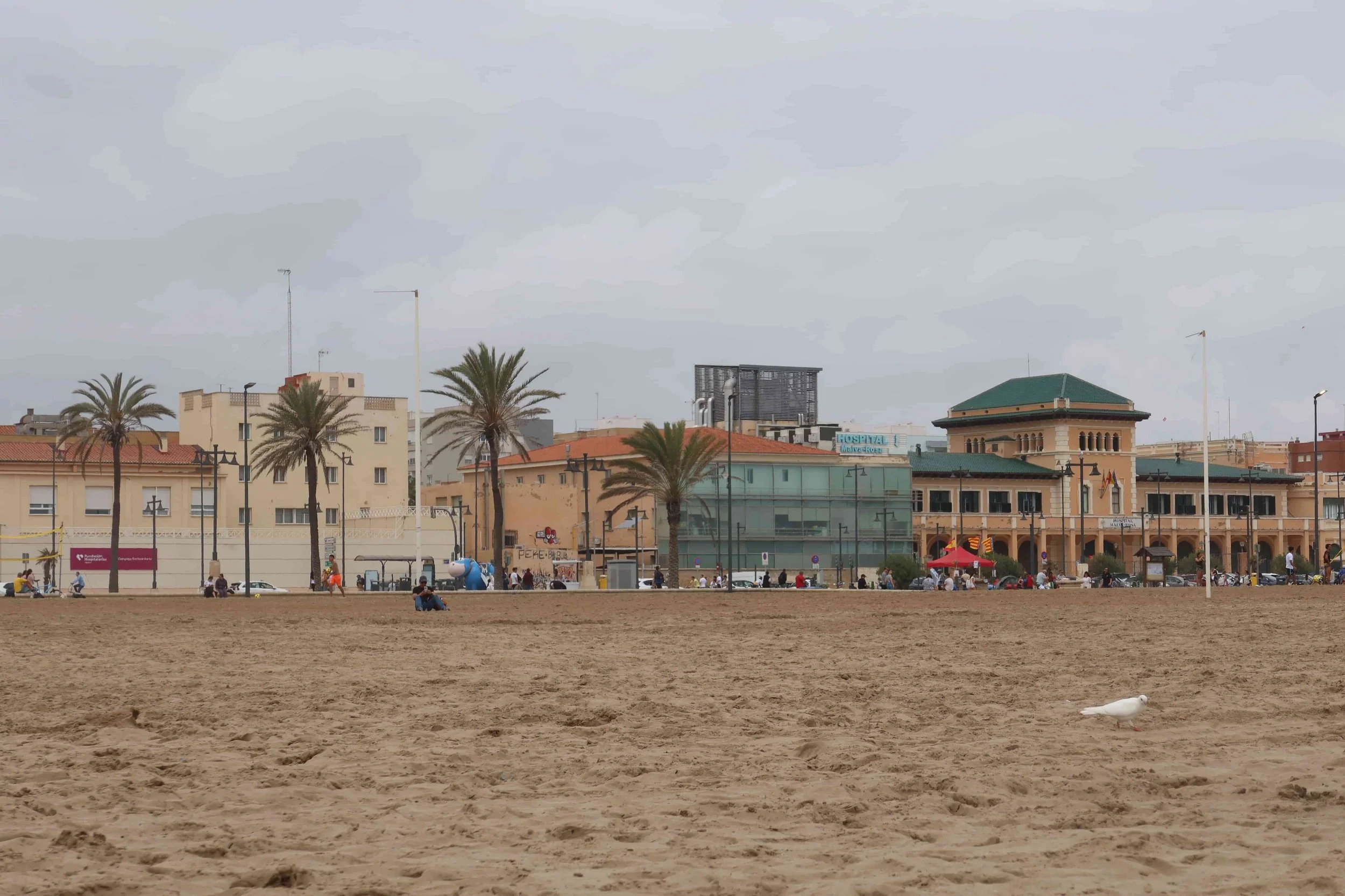 beach on cloudy day