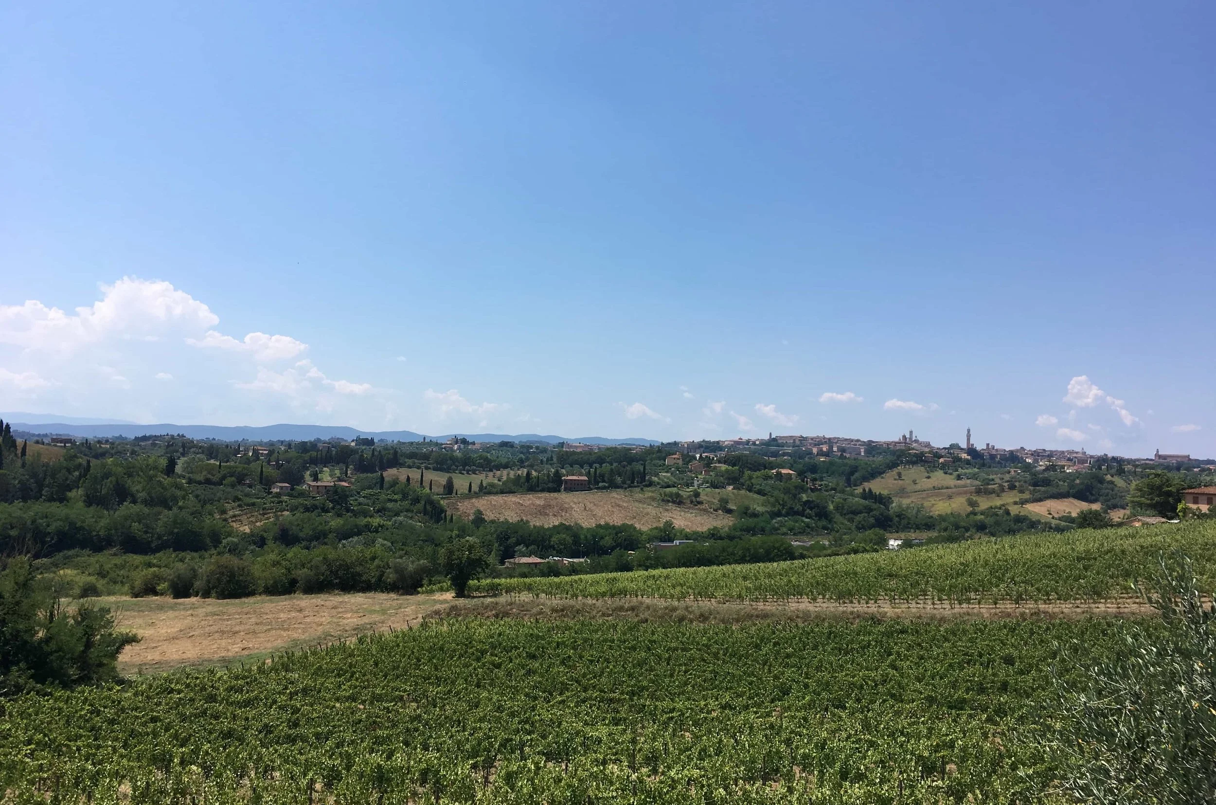 rolling green hills in tuscany