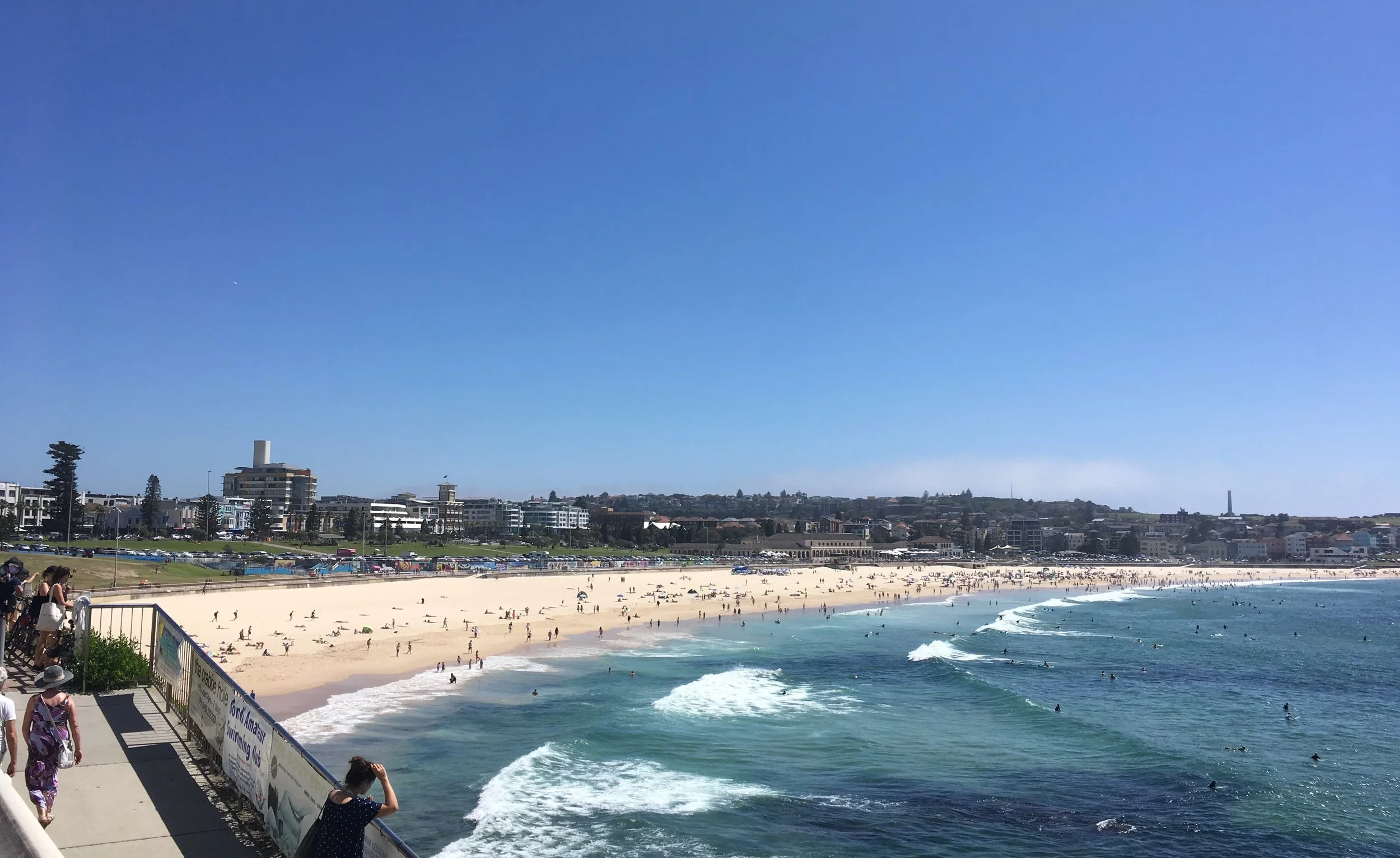 bondi beach