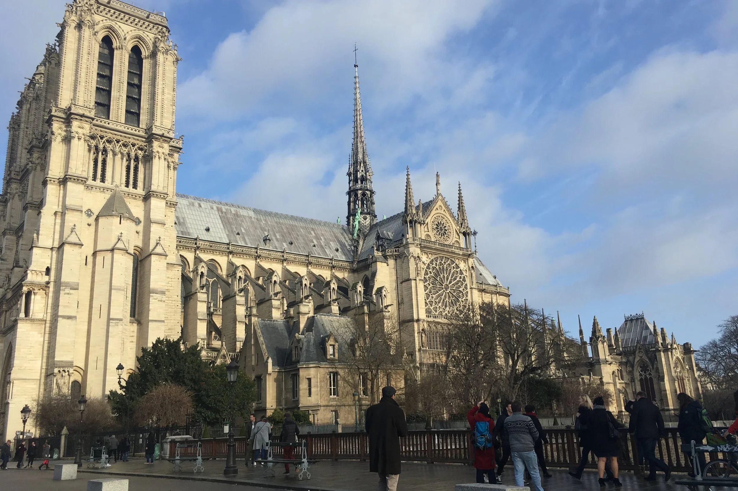 notre dame in sunlight