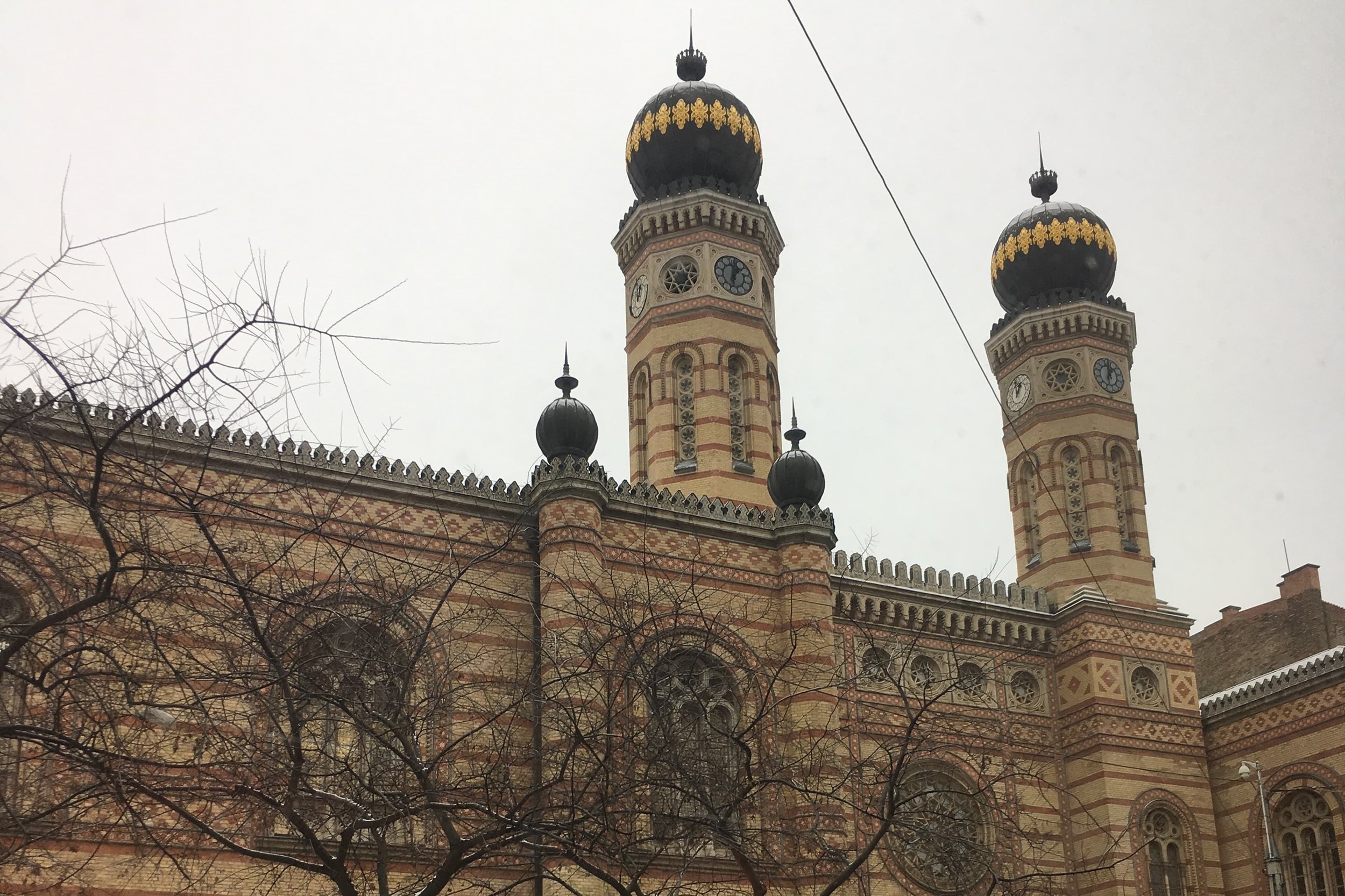 buildings in budapest. tall towers and details orange brown